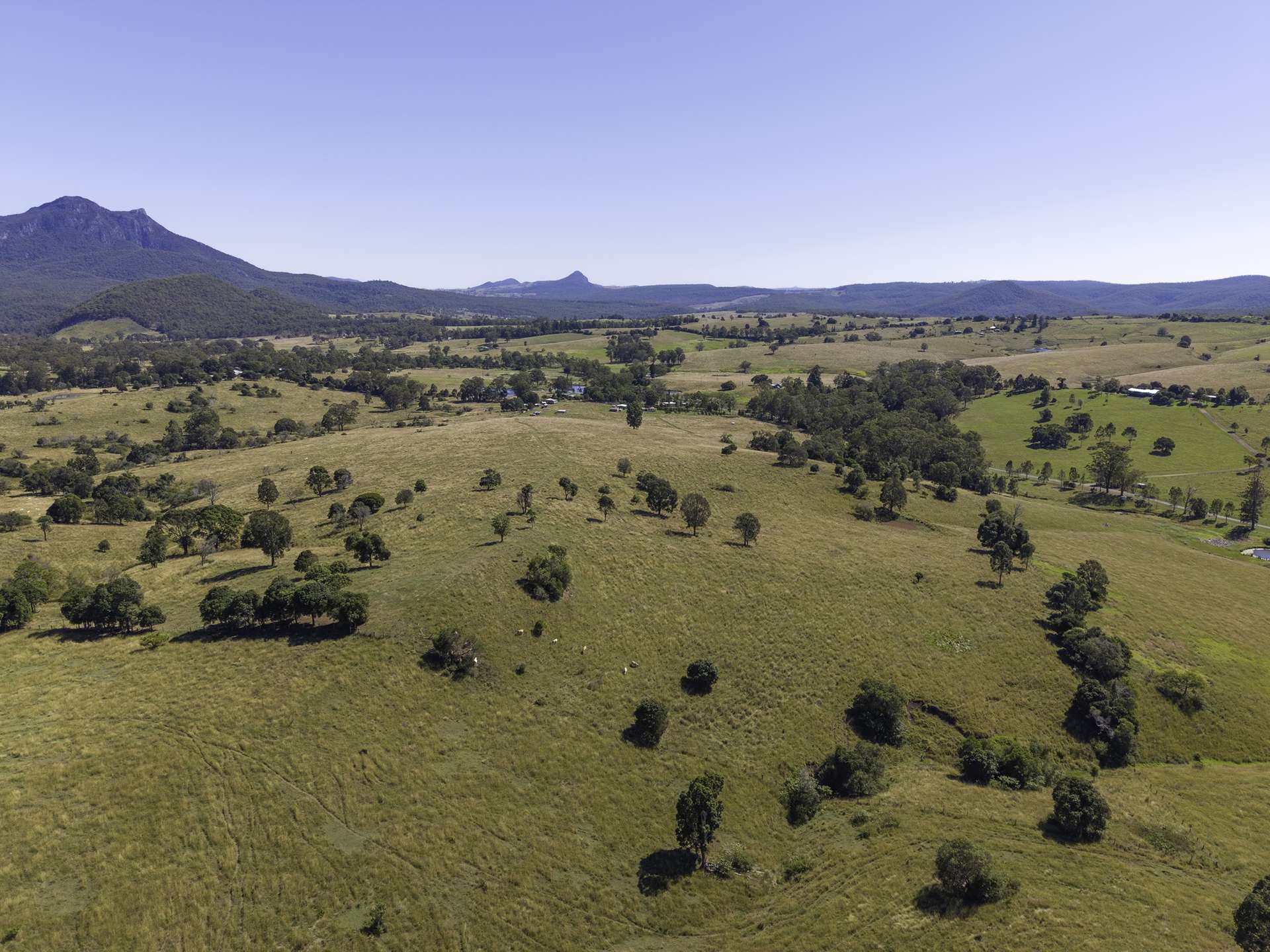 270 Mount Barney Road, Barney View For Sale by Farmbuy.com - image 20