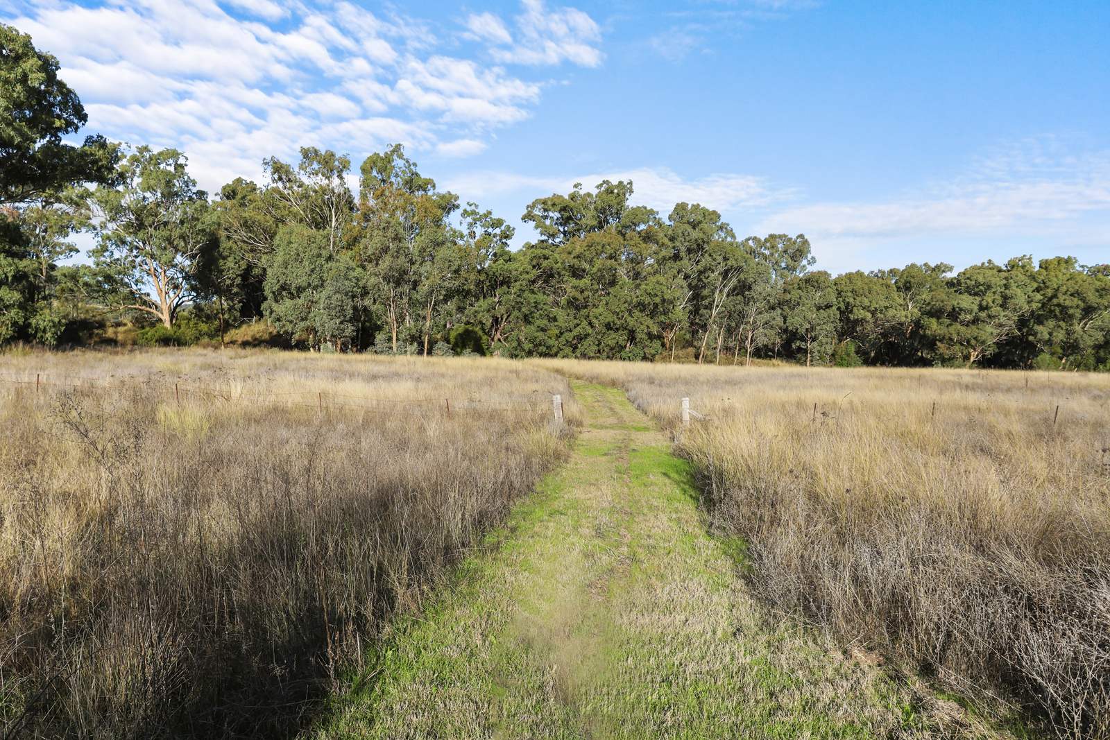 8 Currabubula Stock Route Road, Currabubula For Sale by Farmbuy.com - image 6