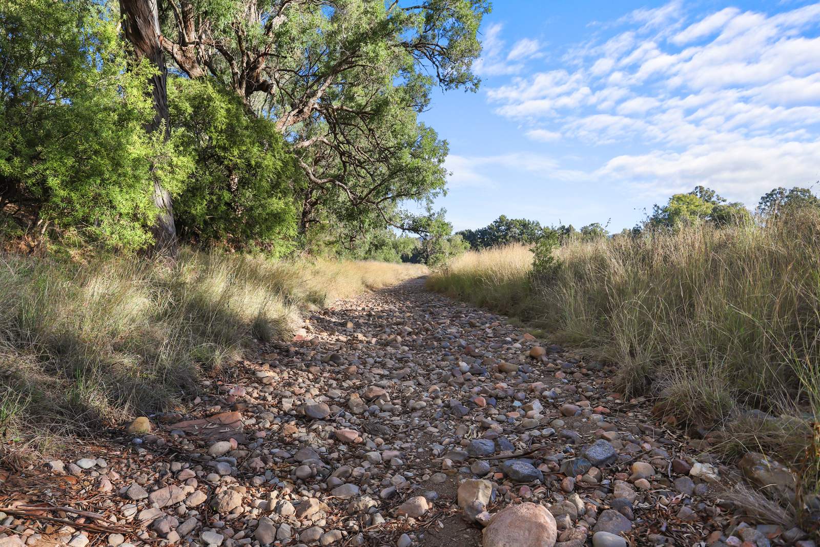 8 Currabubula Stock Route Road, Currabubula For Sale by Farmbuy.com - image 5