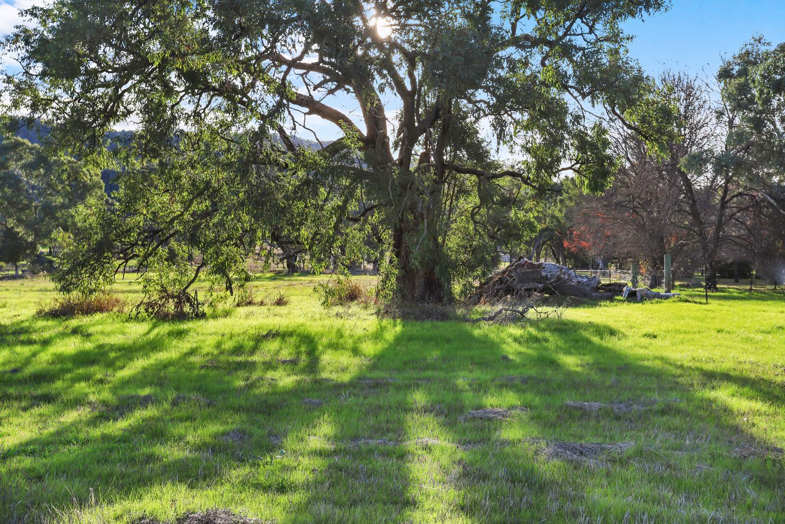 8 Currabubula Stock Route Road, Currabubula For Sale by Farmbuy.com - image 8