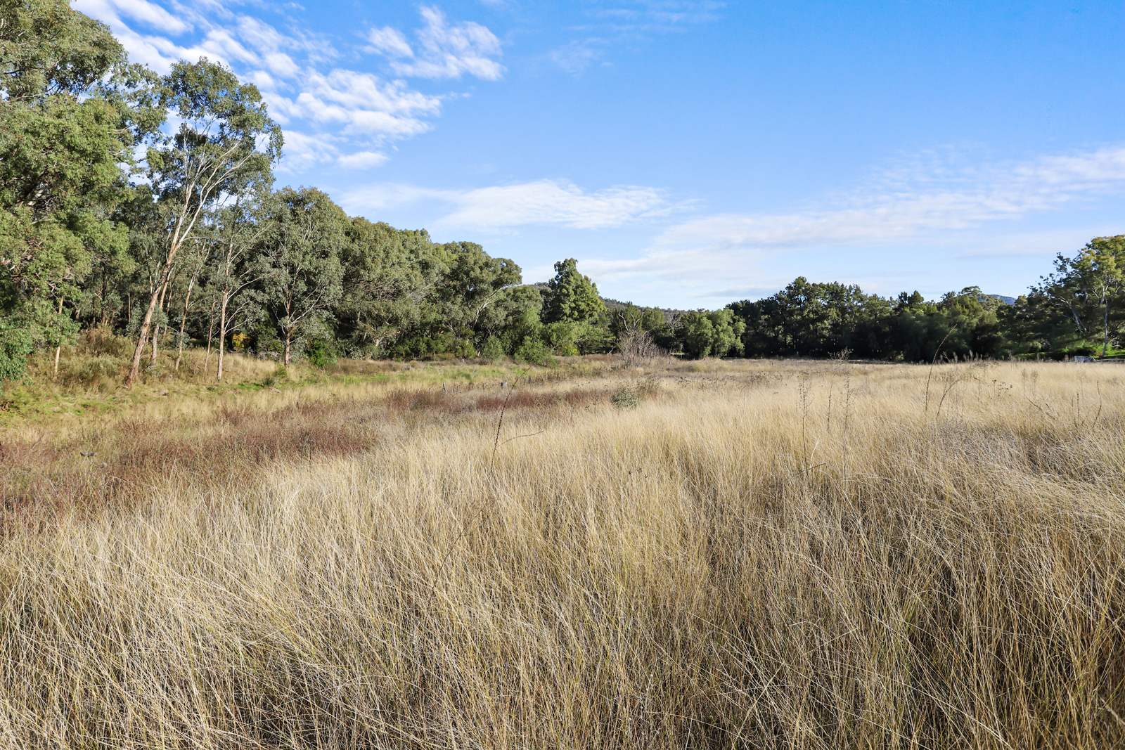 8 Currabubula Stock Route Road, Currabubula For Sale by Farmbuy.com - image 4