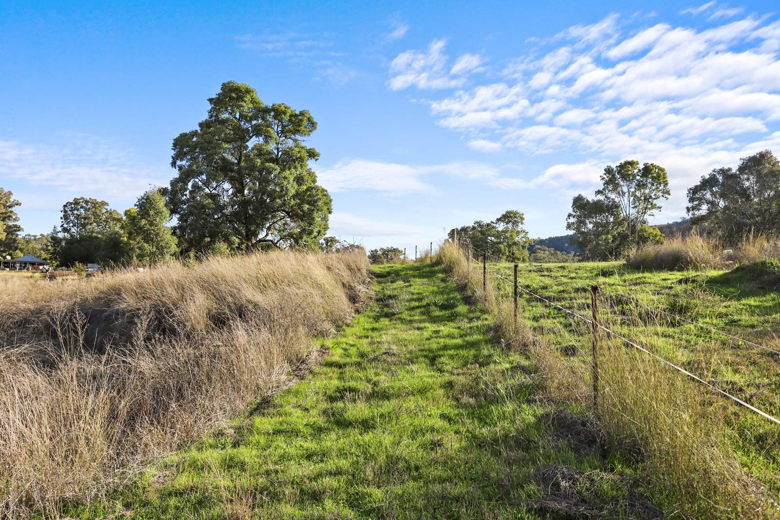 8 Currabubula Stock Route Road, Currabubula For Sale by Farmbuy.com - image 7