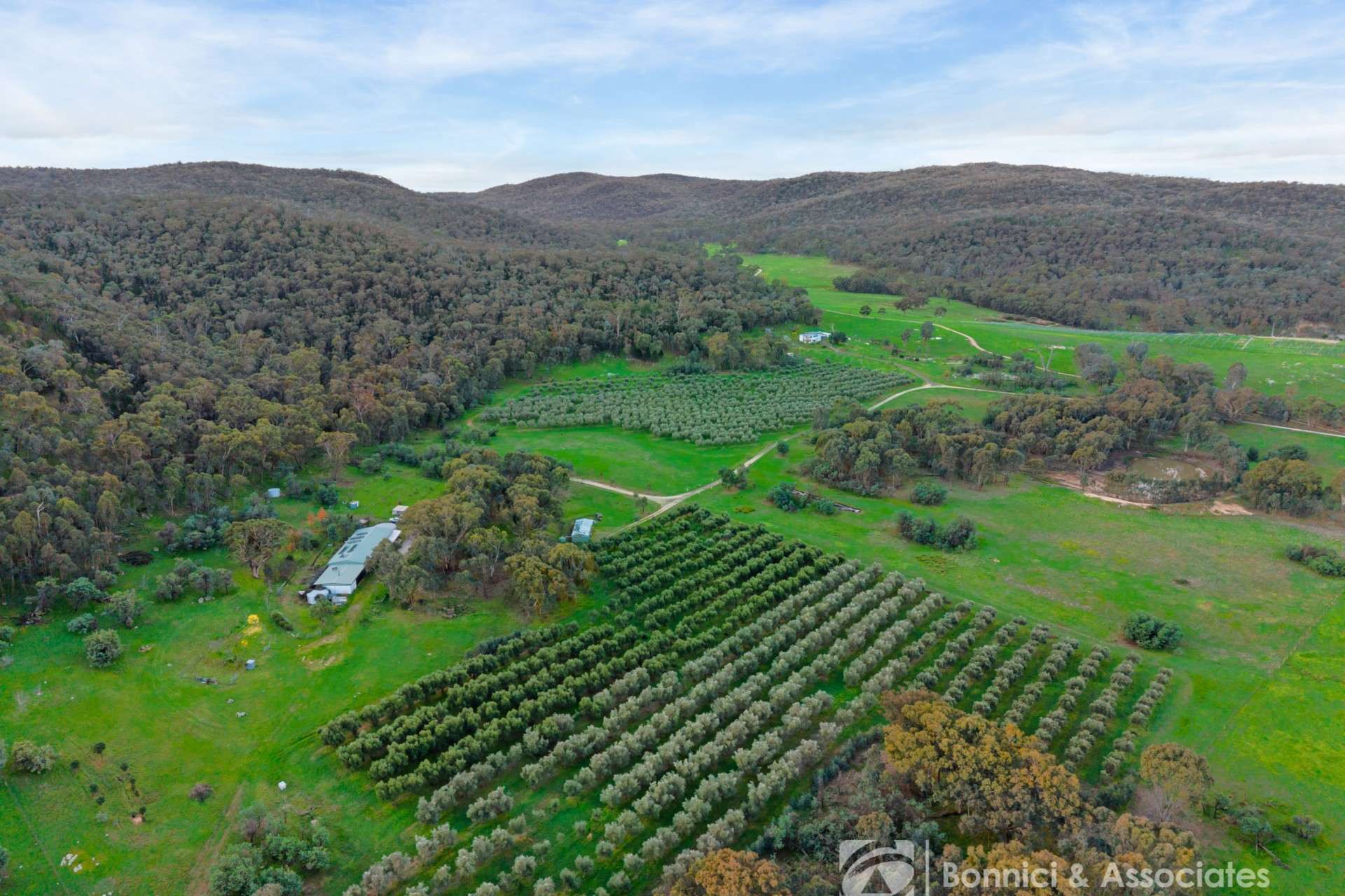 117 Sugarloaf Lane, Beechworth For Sale by Farmbuy.com - image 2