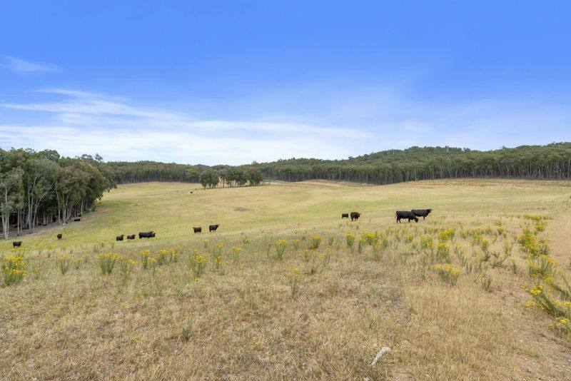 1446 Four Mile Lane, Little Billabong For Sale by Farmbuy.com - image 5