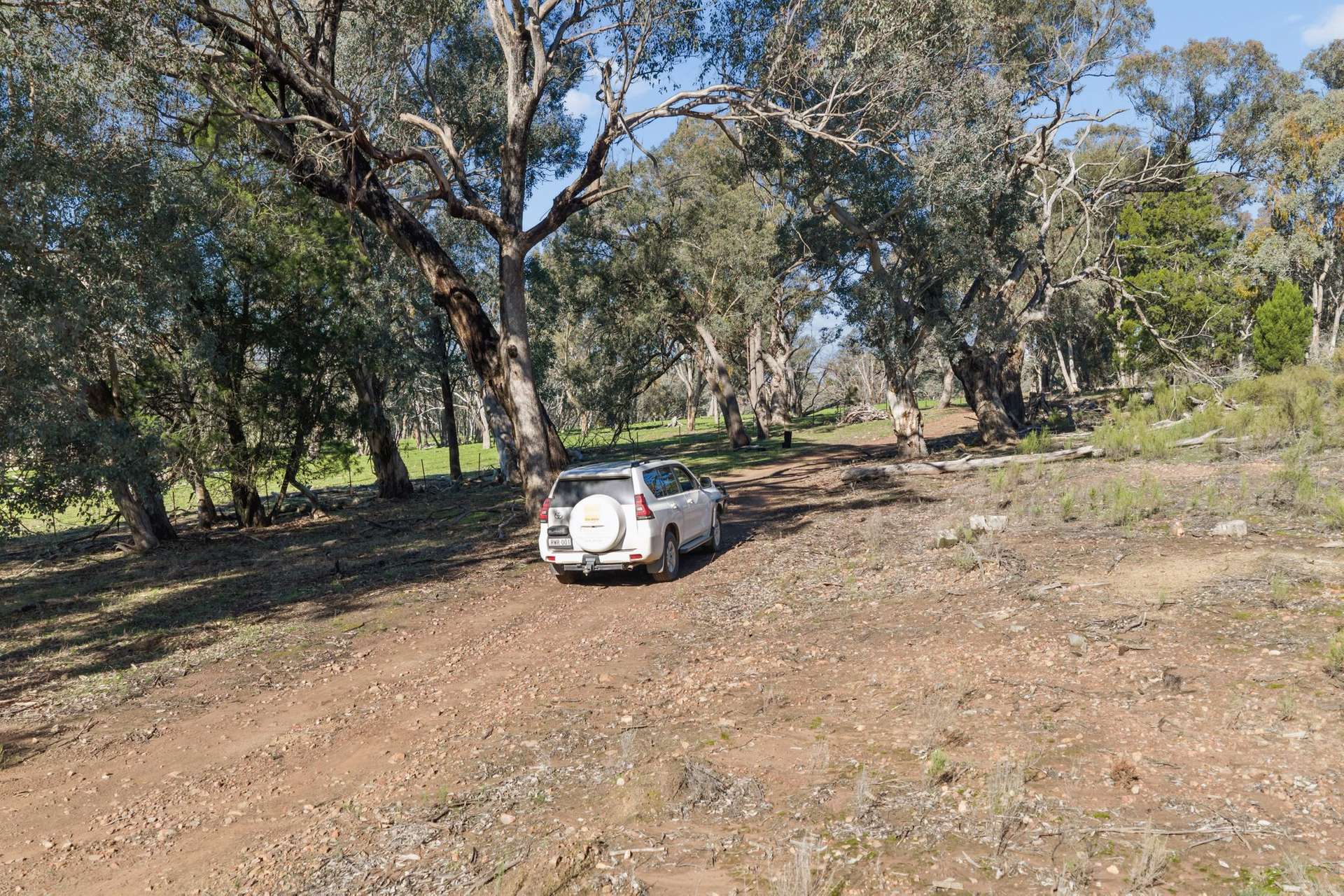 300 Harden Lane, Murringo For Sale by Farmbuy.com - image 22