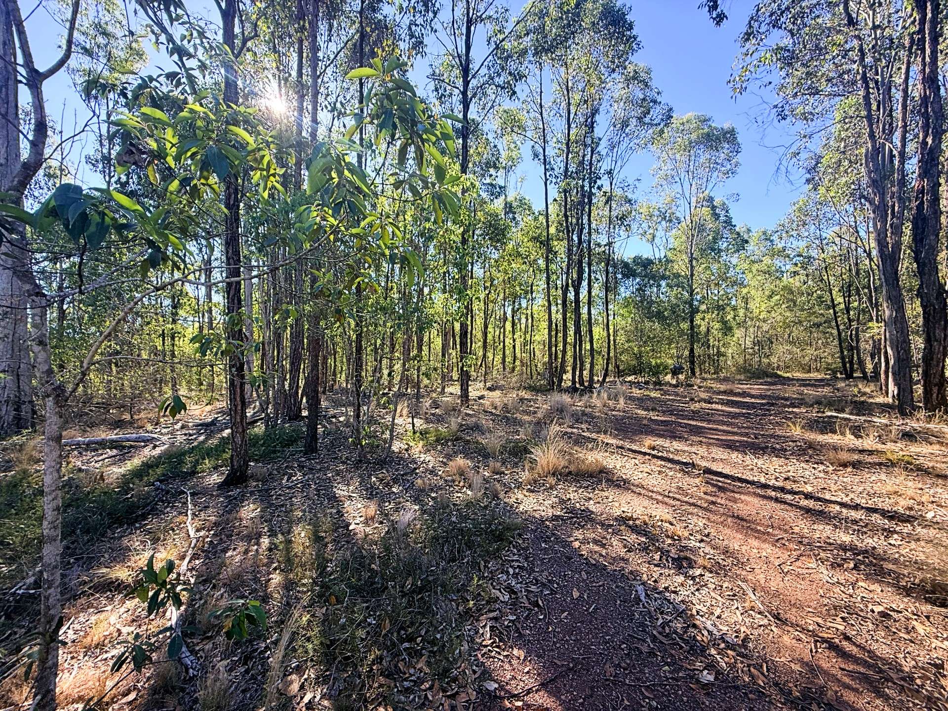 Lot 3,  Old School Road, Booyal For Sale by Farmbuy.com - image 3