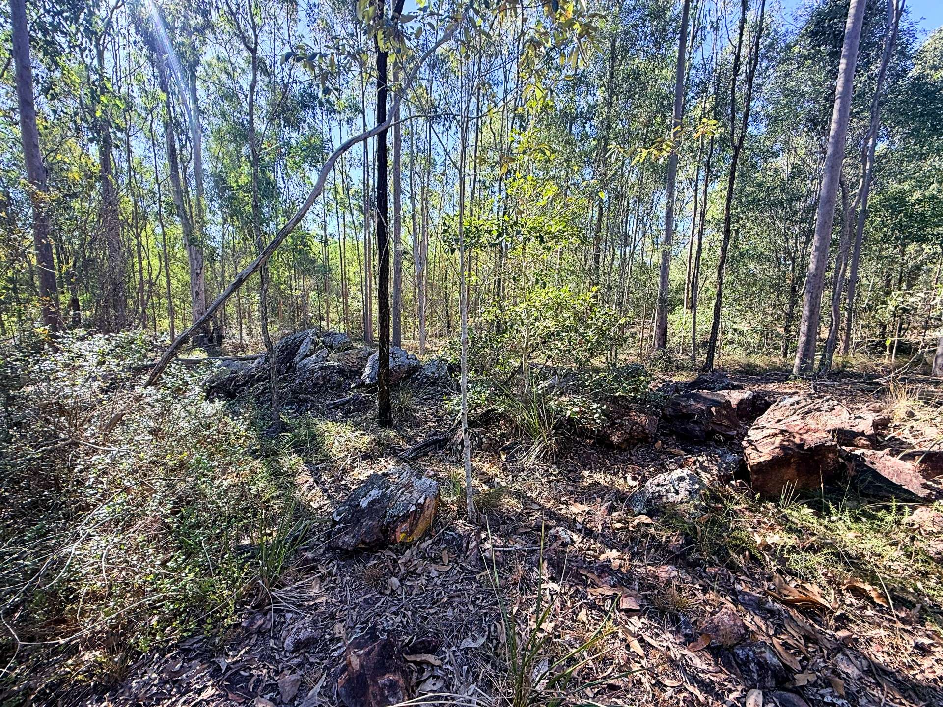 Lot 3,  Old School Road, Booyal For Sale by Farmbuy.com - image 5
