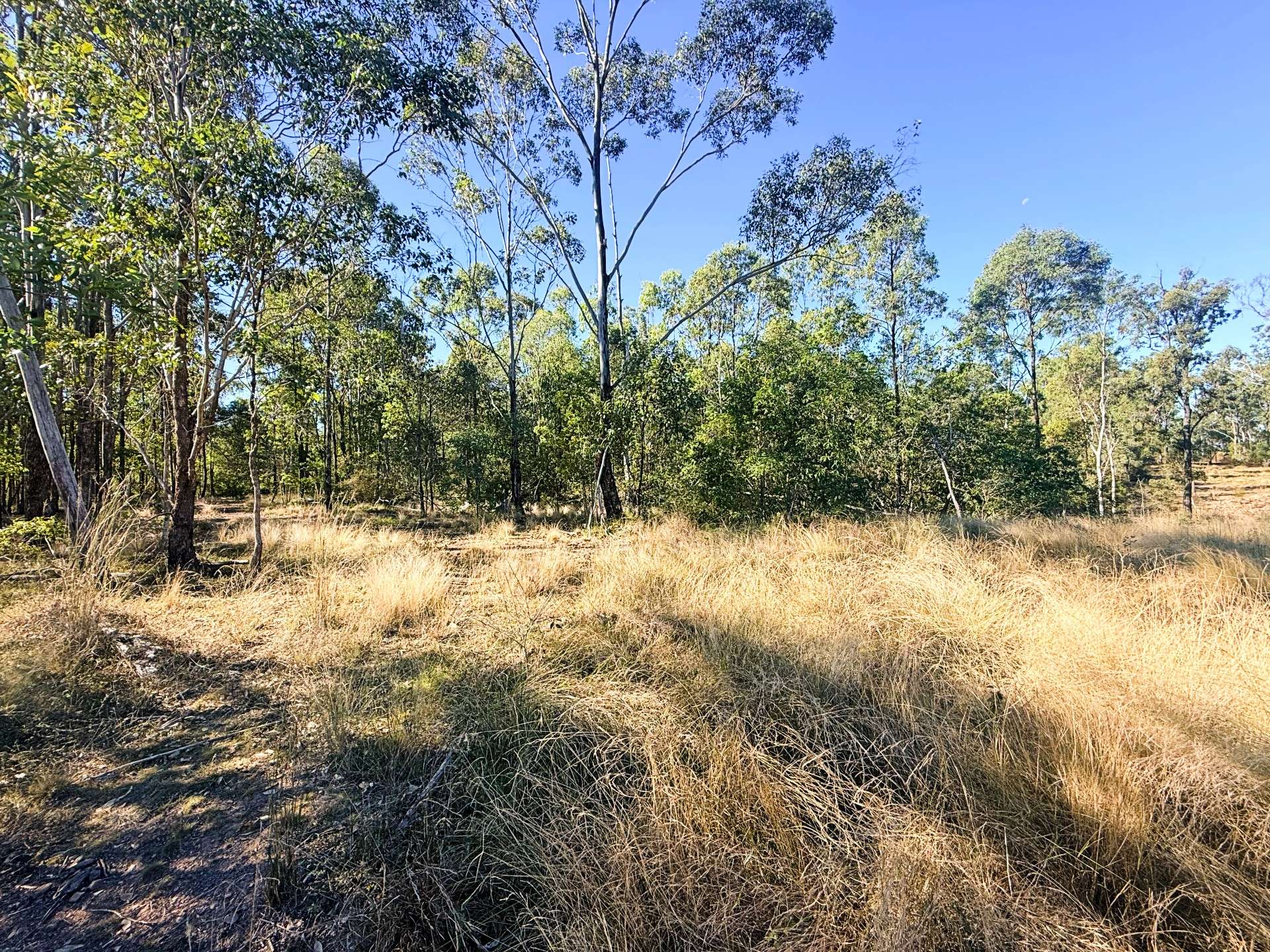 Lot 3,  Old School Road, Booyal For Sale by Farmbuy.com - image 9