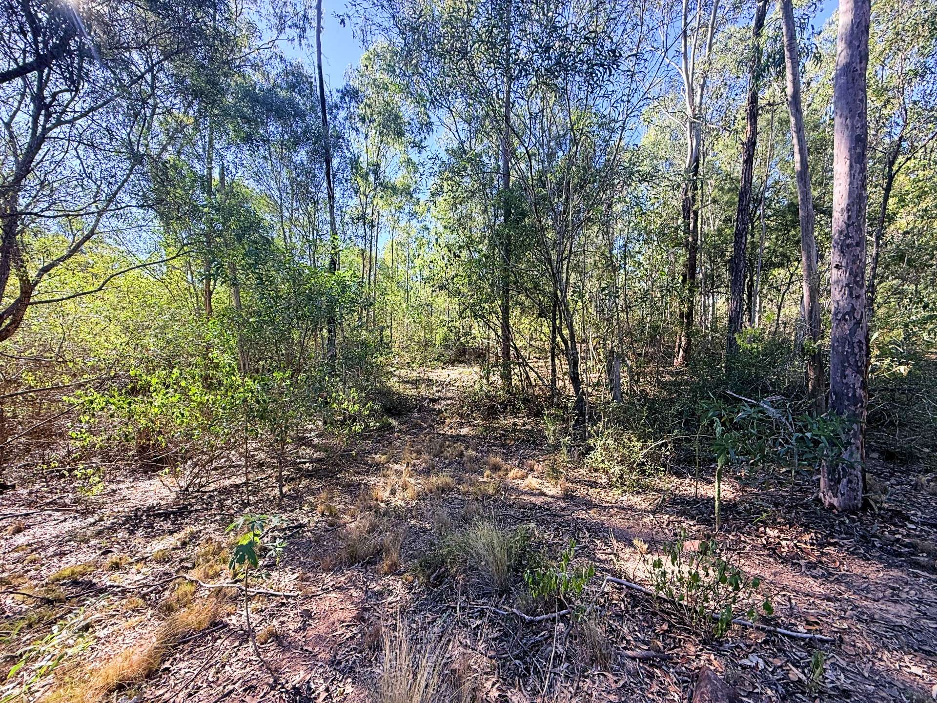 Lot 3,  Old School Road, Booyal For Sale by Farmbuy.com - image 7