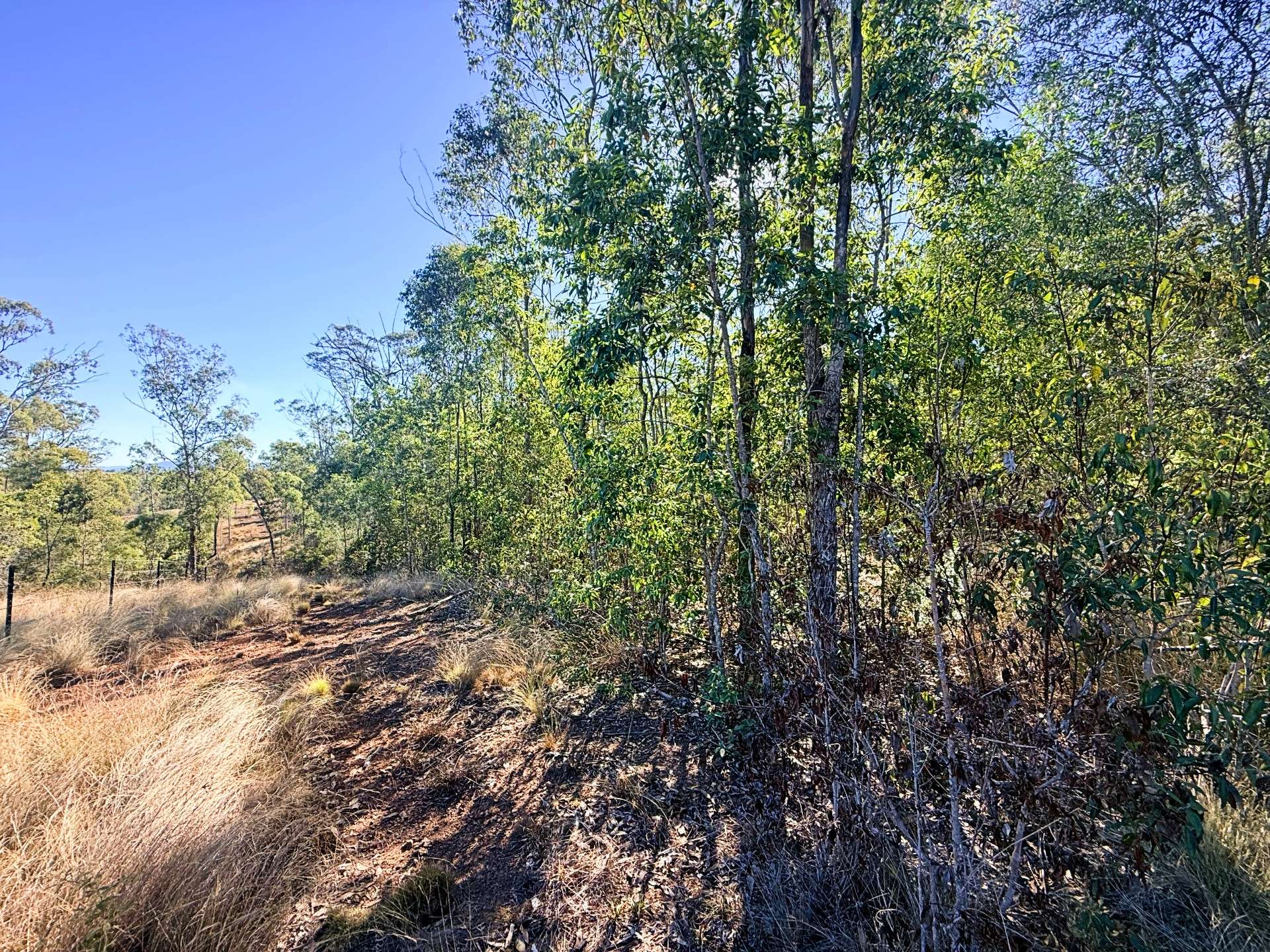 Lot 3,  Old School Road, Booyal For Sale by Farmbuy.com - image 8