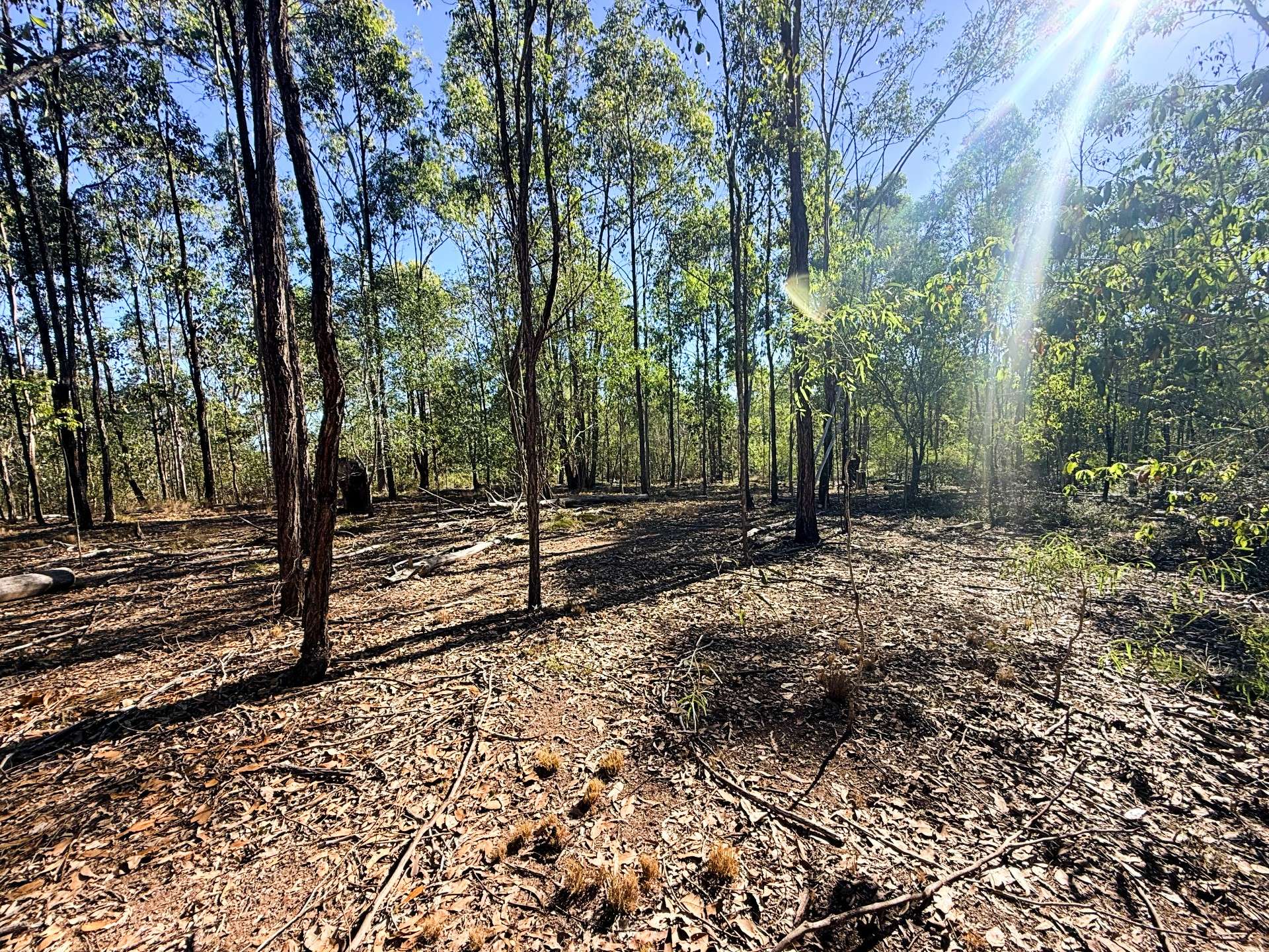Lot 3,  Old School Road, Booyal For Sale by Farmbuy.com - image 6