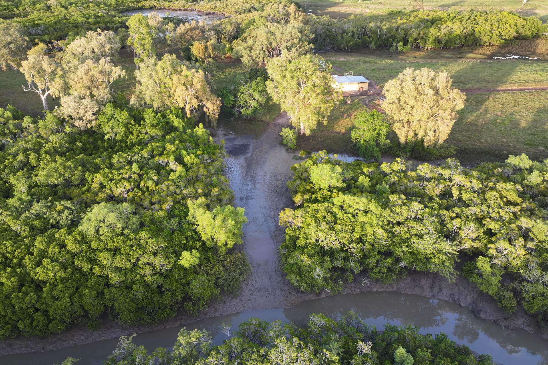 174 Habana Wharf Road, Habana Auction by Farmbuy.com - image 16