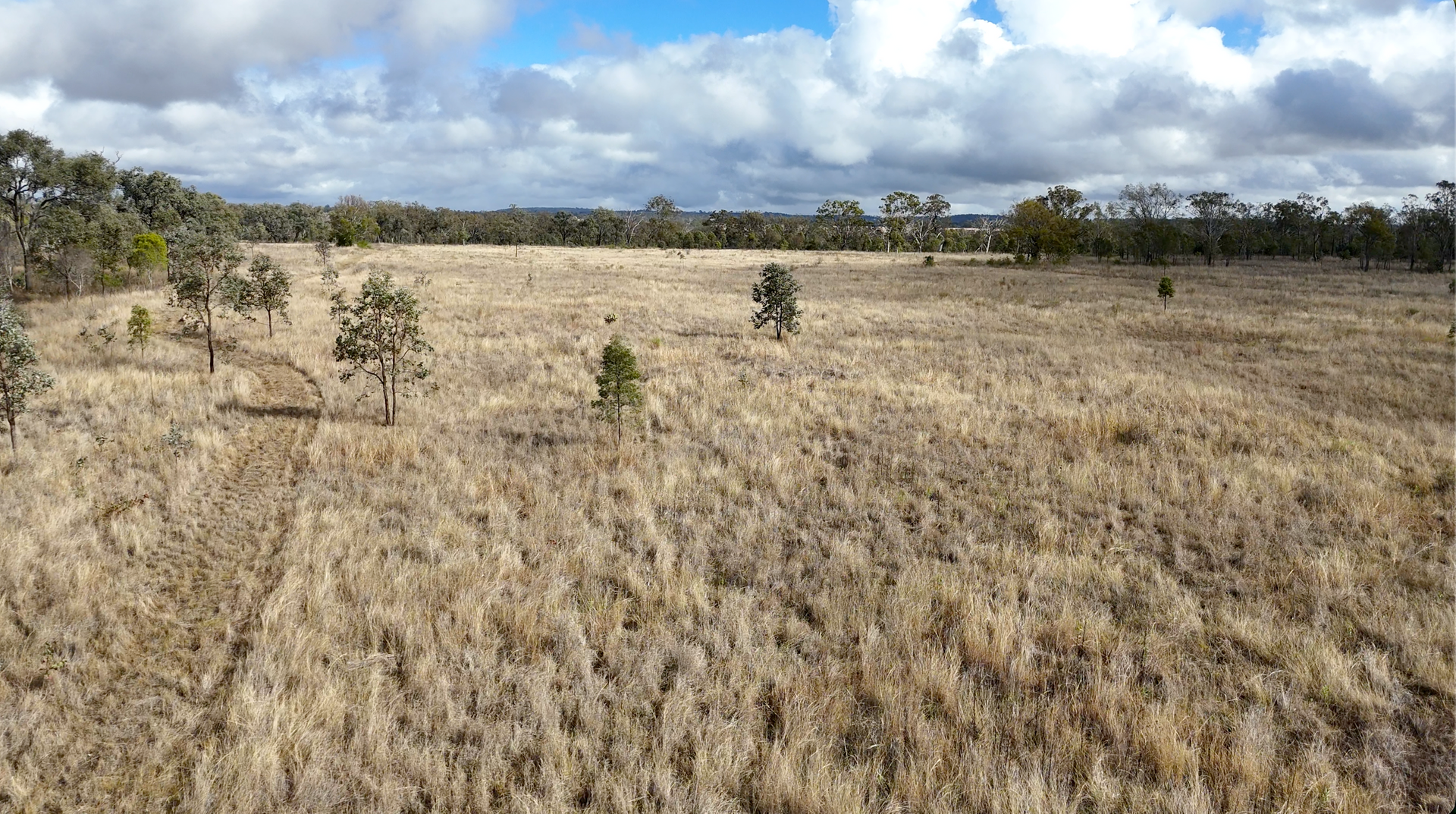 483 Wyreema Athol Road, Athol For Sale by Farmbuy.com - image 6