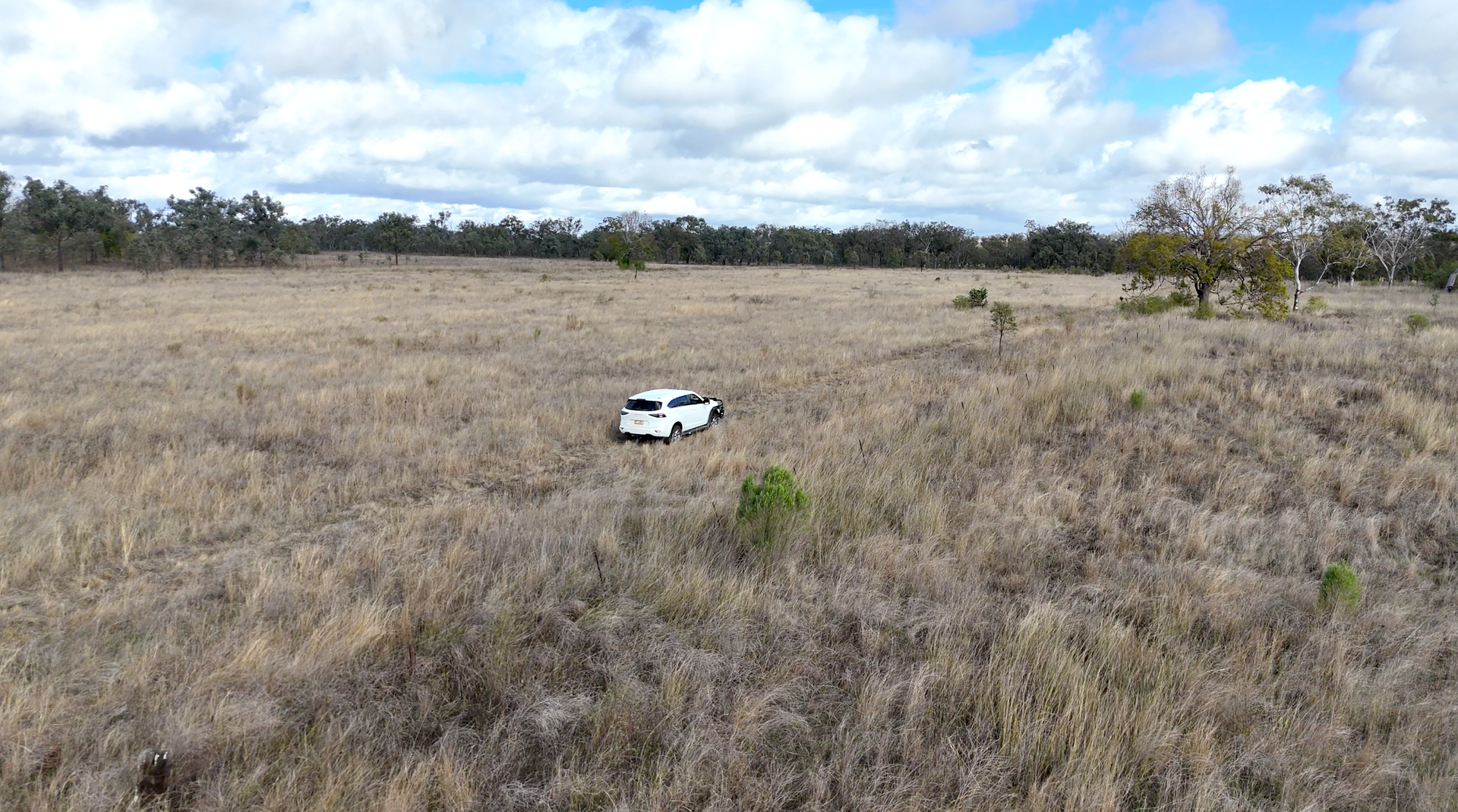 483 Wyreema Athol Road, Athol For Sale by Farmbuy.com - image 5