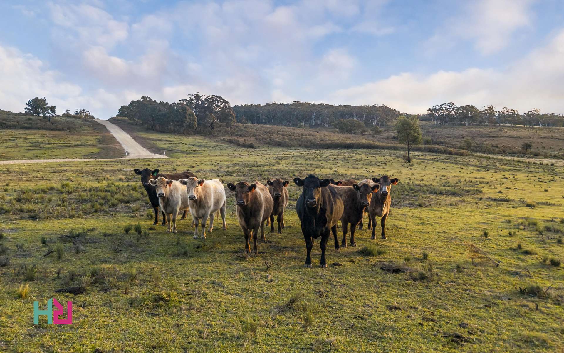 350 Molybdonite Road, Locksley For Sale by Farmbuy.com - image 27