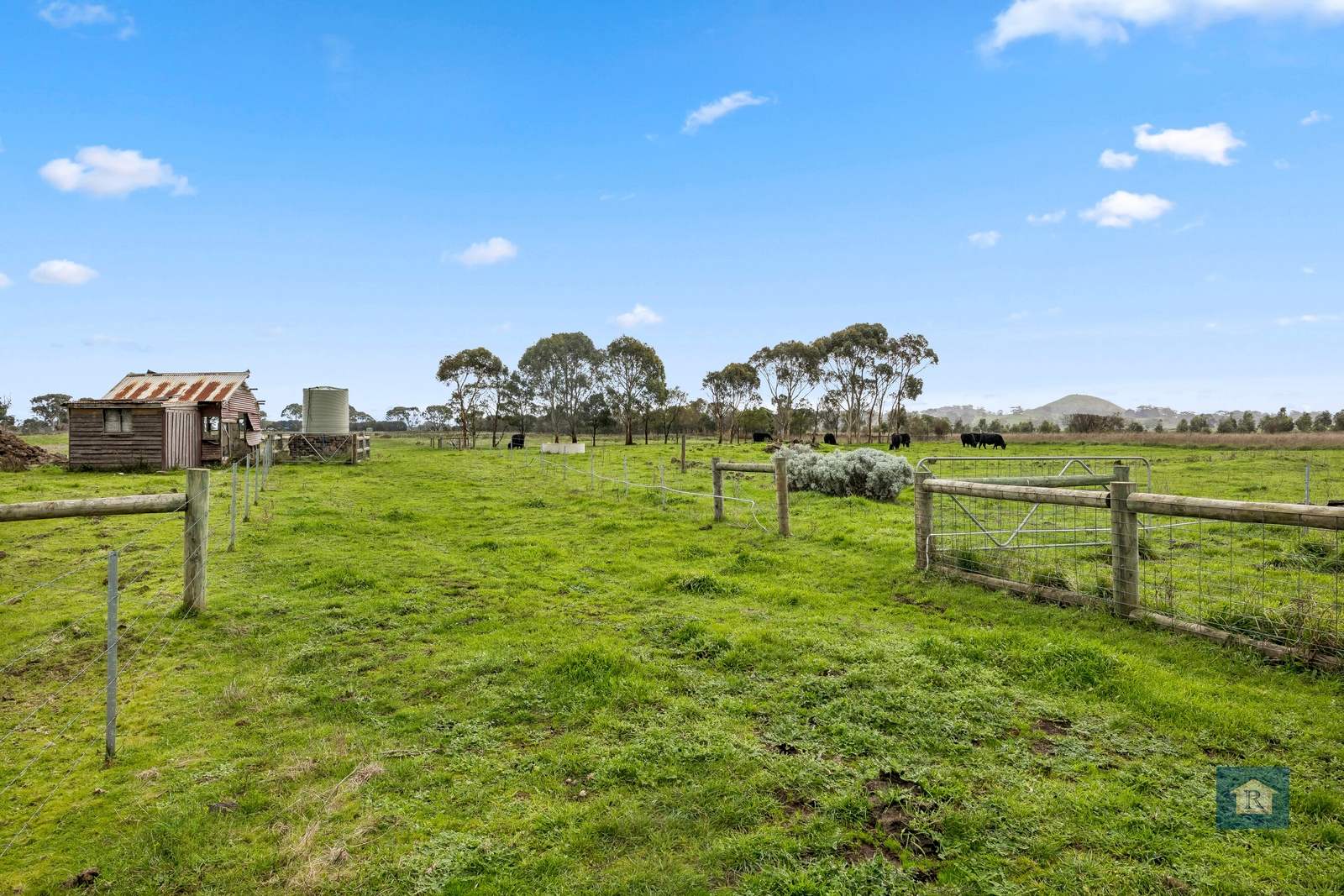 2274 Cobden-Stonyford Road, Stonyford For Sale by Farmbuy.com - image 19