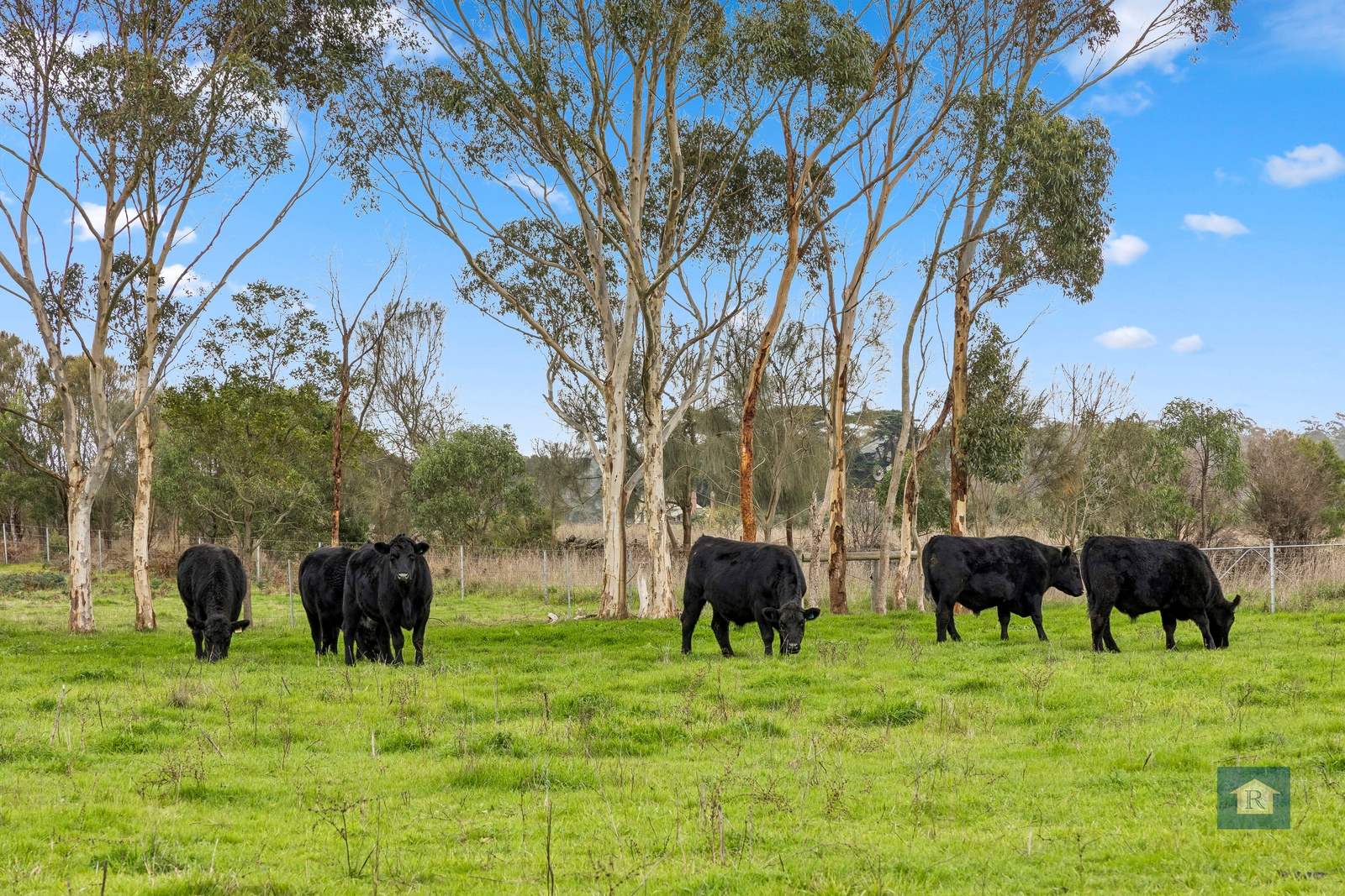 2274 Cobden-Stonyford Road, Stonyford For Sale by Farmbuy.com - image 18