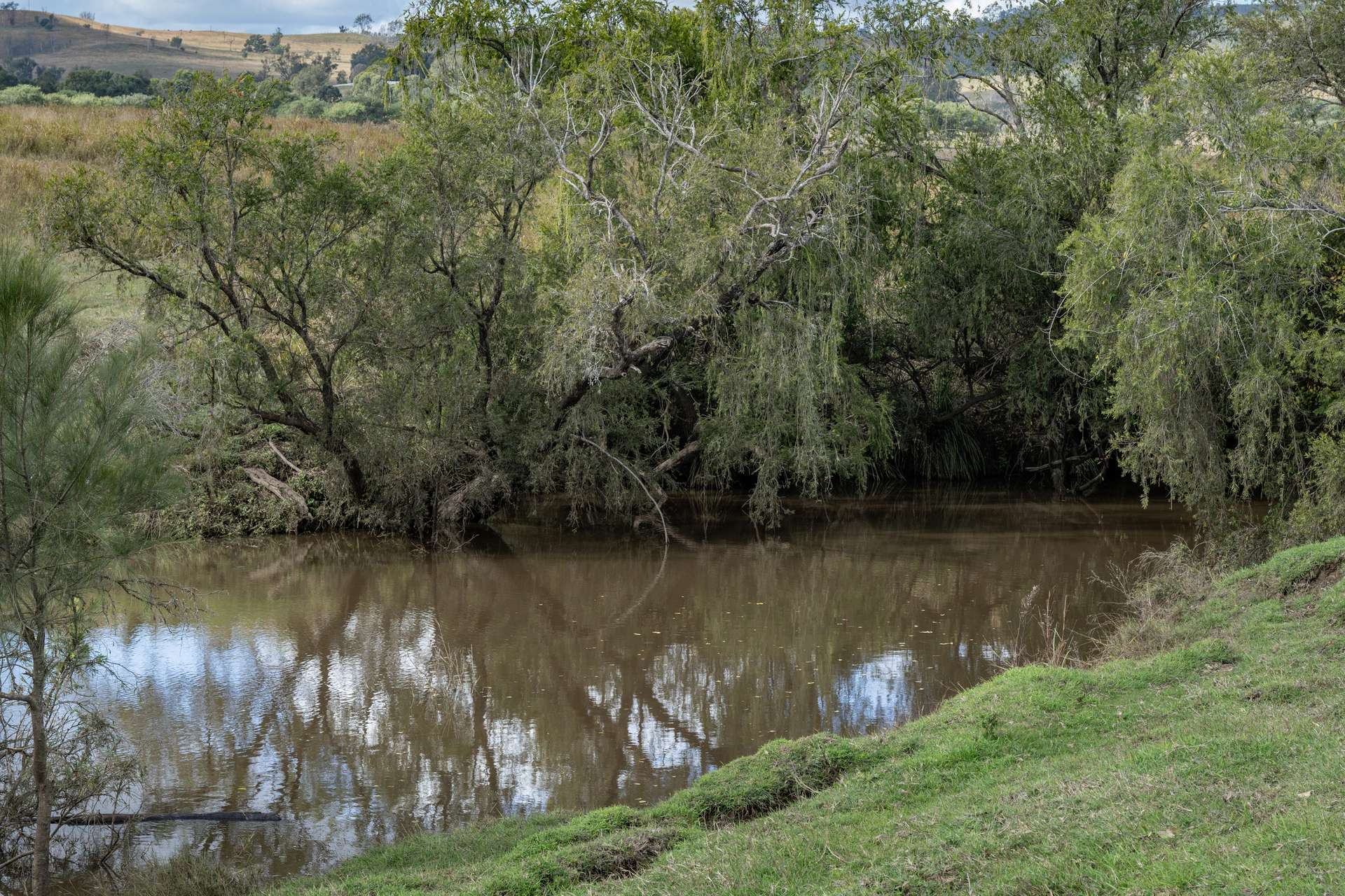 1557 Mount Walker West Road, Rosevale Auction by Farmbuy.com - image 19