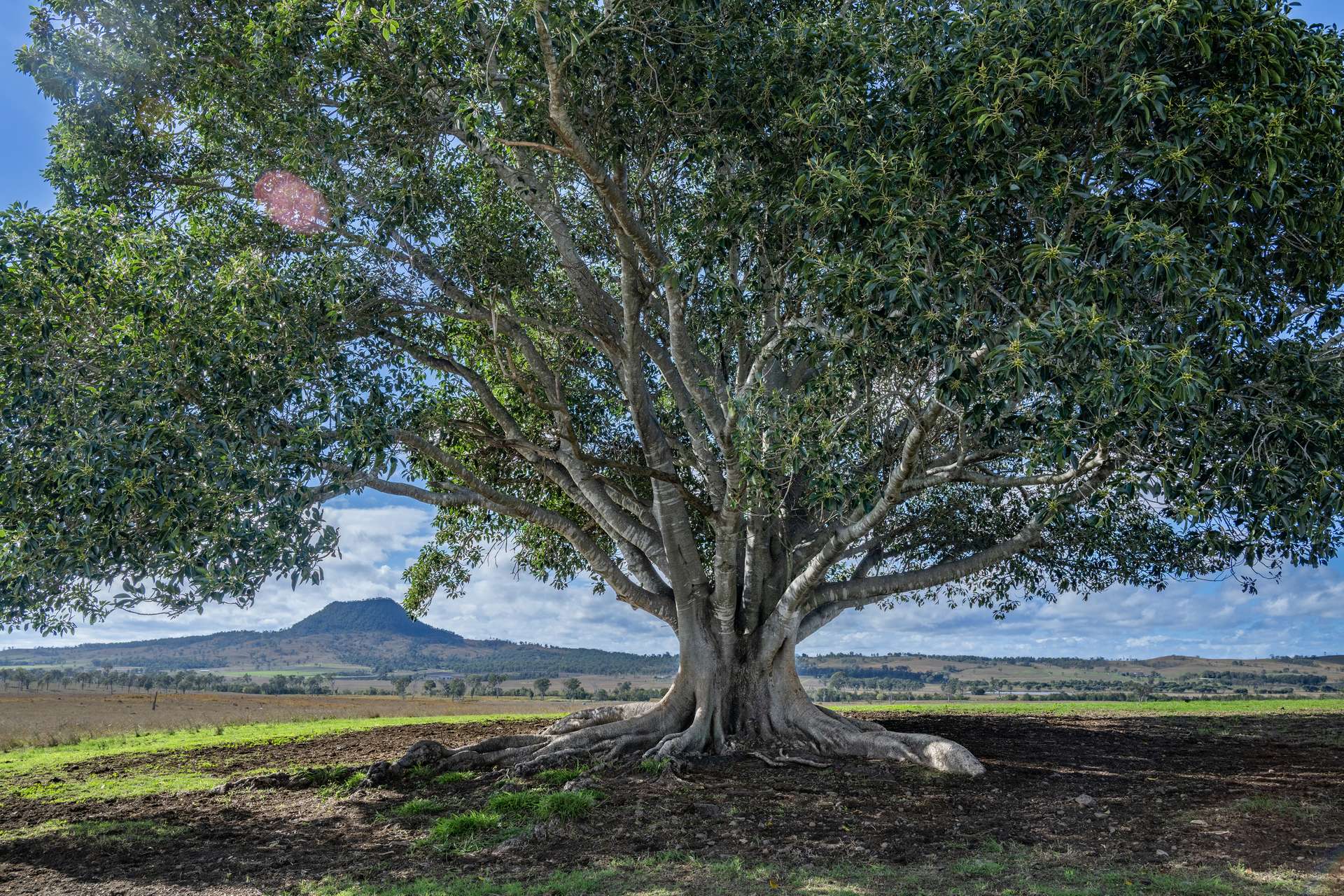 1557 Mount Walker West Road, Rosevale Auction by Farmbuy.com - image 35