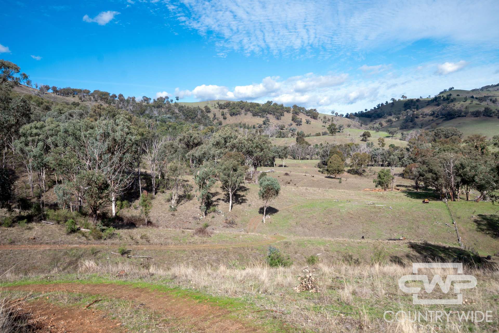 Lot 21 Halls Creek Road, Bendemeer For Sale by Farmbuy.com - image 12