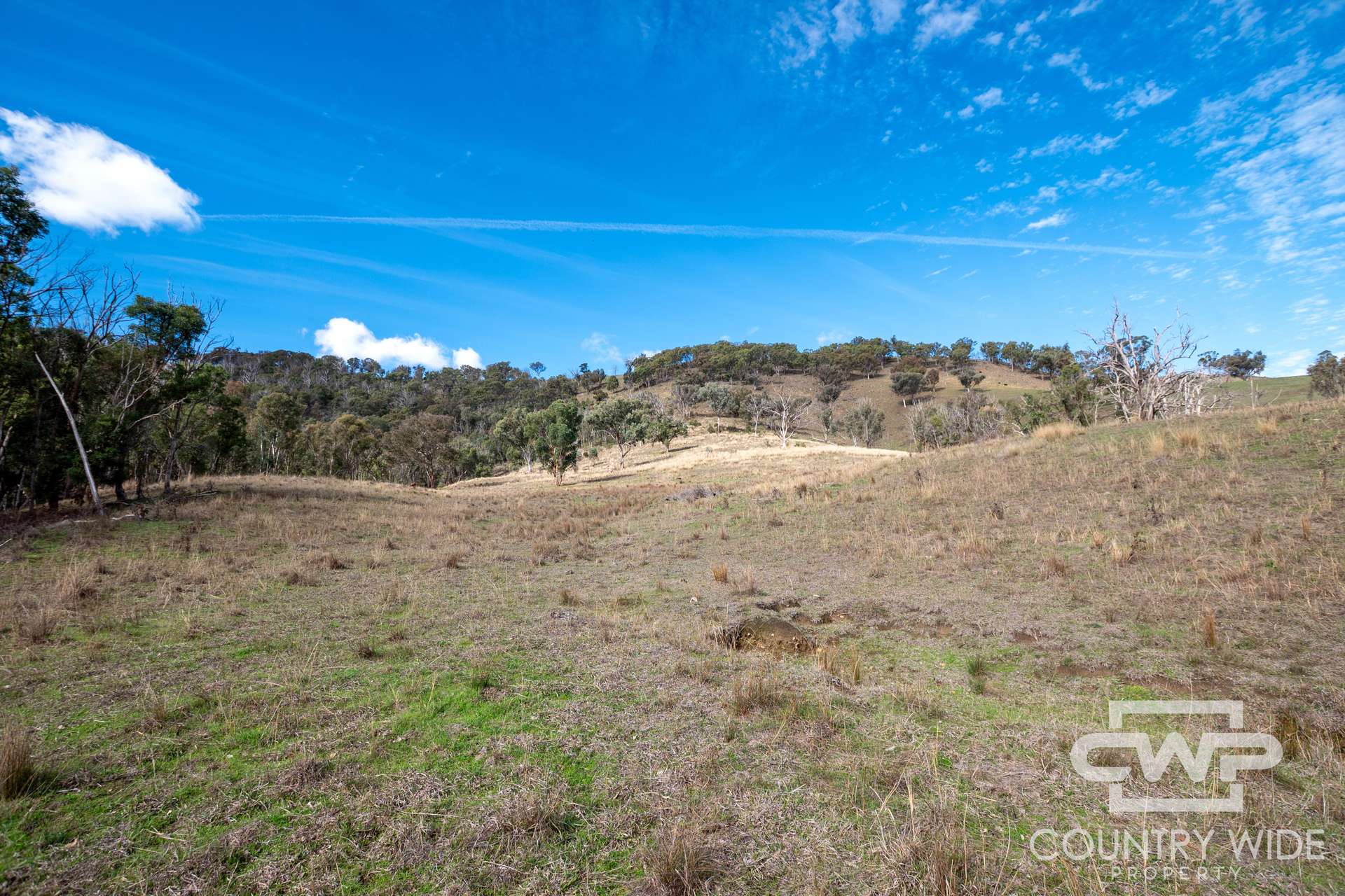 Lot 21 Halls Creek Road, Bendemeer For Sale by Farmbuy.com - image 7