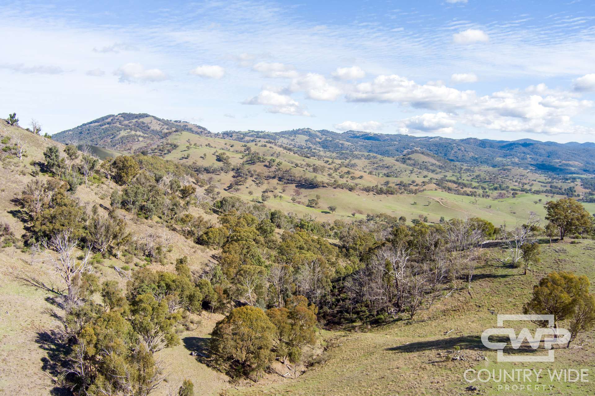 Lot 21 Halls Creek Road, Bendemeer For Sale by Farmbuy.com - image 26