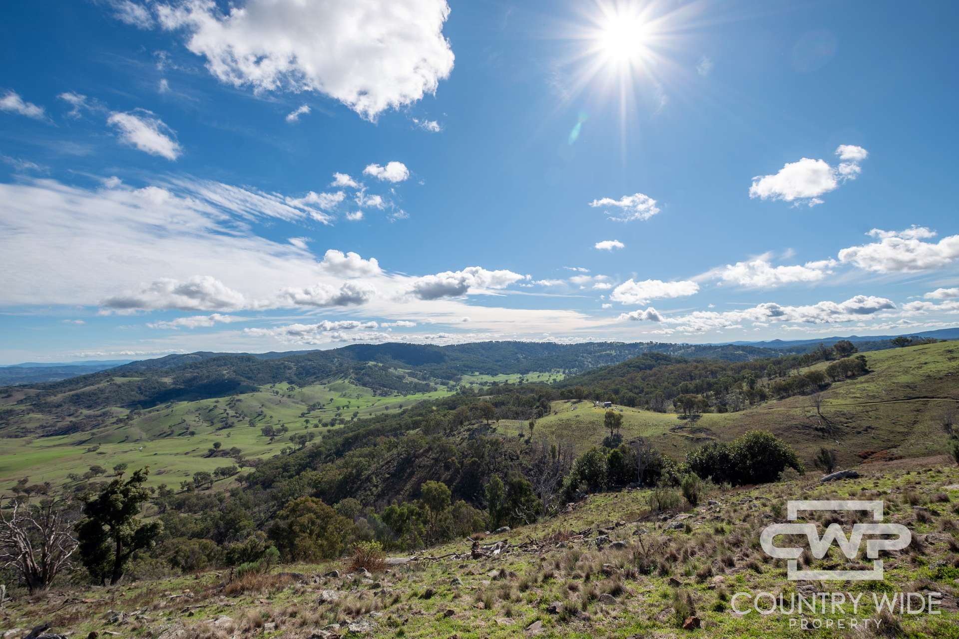 Lot 21 Halls Creek Road, Bendemeer For Sale by Farmbuy.com - image 13