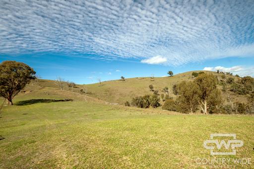 Farm For Sale - NSW - Bendemeer - 2355 - Top of the Moonbi Ranges 
