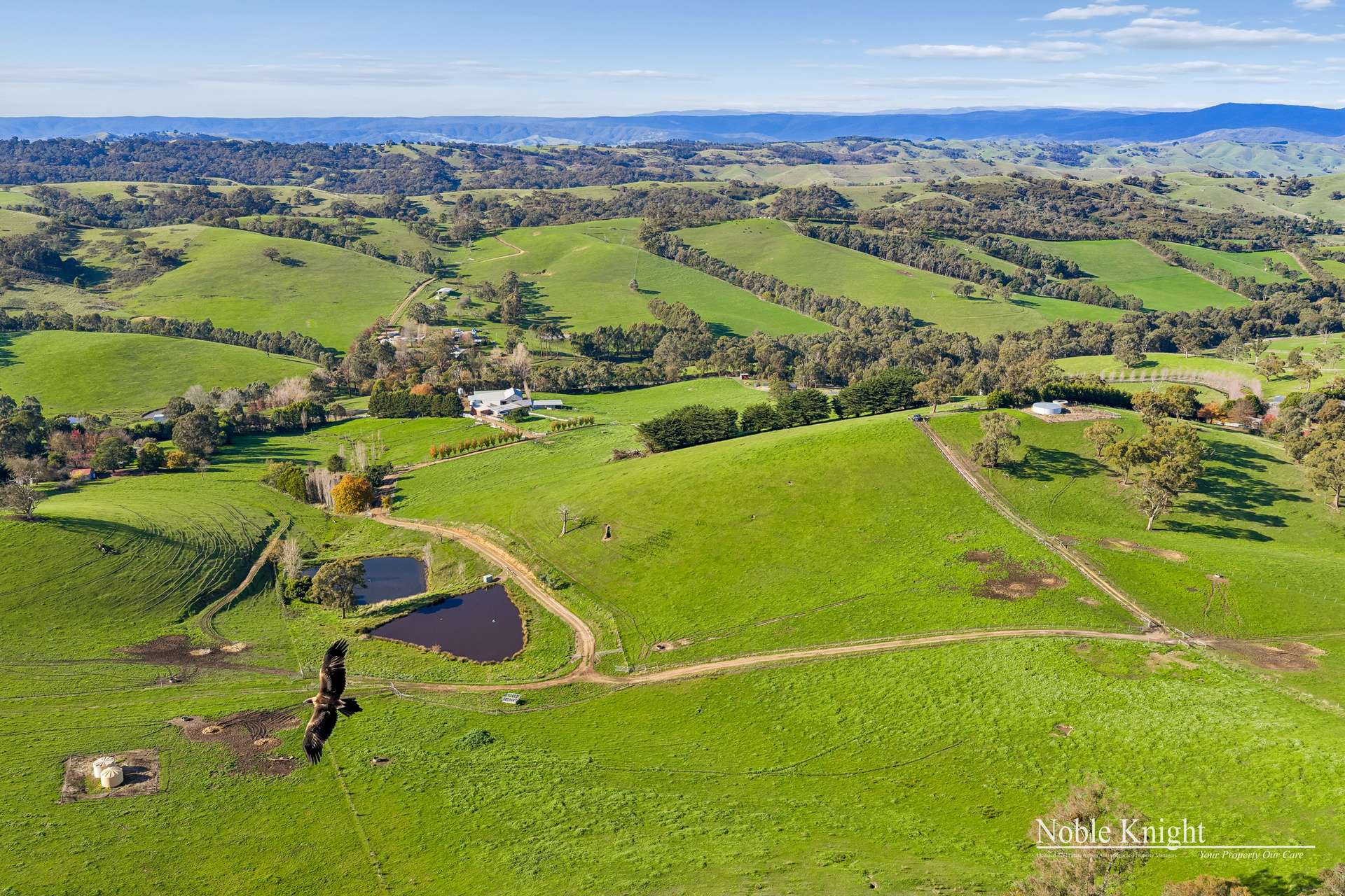 1215 Break Oday Road, Glenburn For Sale by Farmbuy.com - image 5