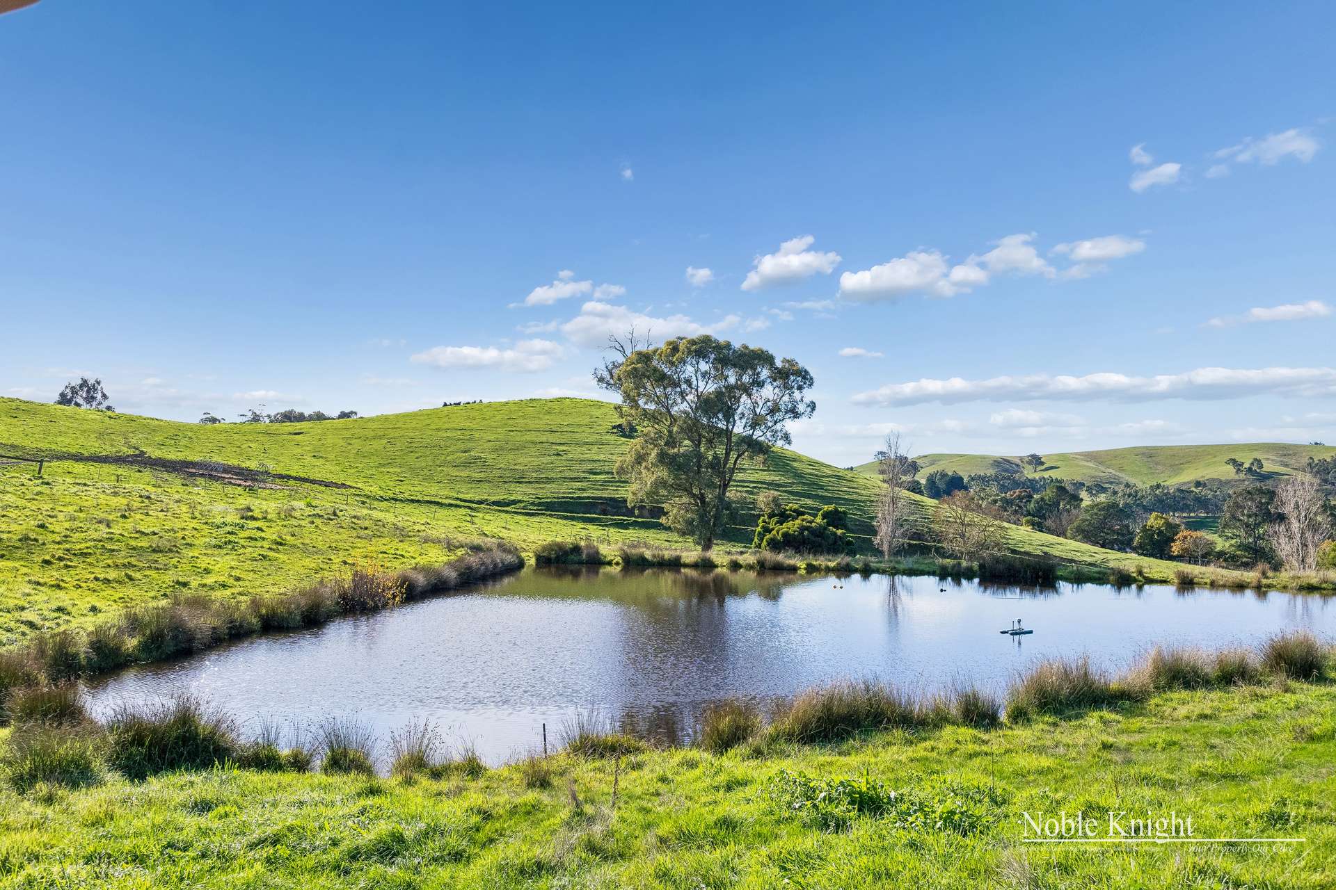 1215 Break Oday Road, Glenburn For Sale by Farmbuy.com - image 8