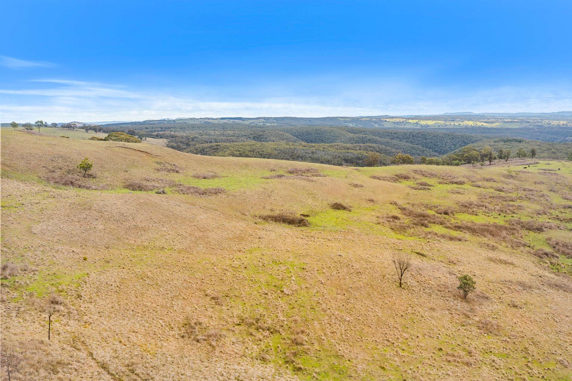 1/218 Razorback Road, Mudgee For Sale by Farmbuy.com - image 17