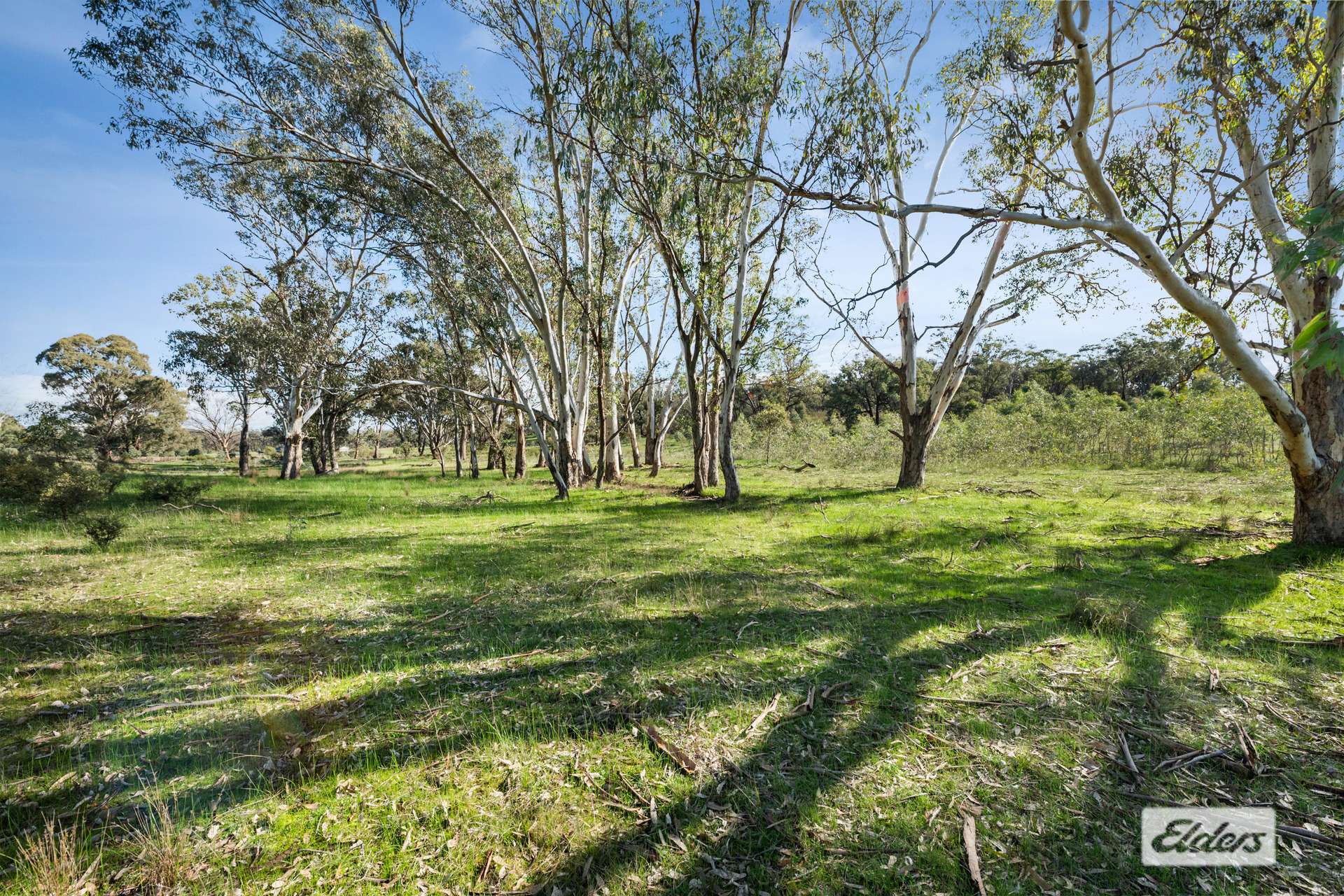 Lot 2,  Squatters Court, Eppalock For Sale by Farmbuy.com - image 5