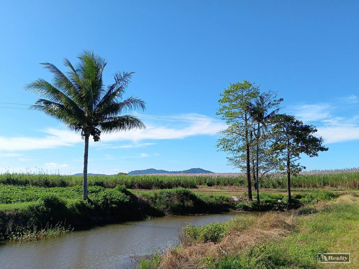 44 Kelly Road, Lower Tully For Sale by Farmbuy.com - image 15