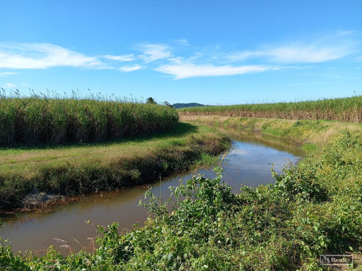 44 Kelly Road, Lower Tully For Sale by Farmbuy.com - image 14