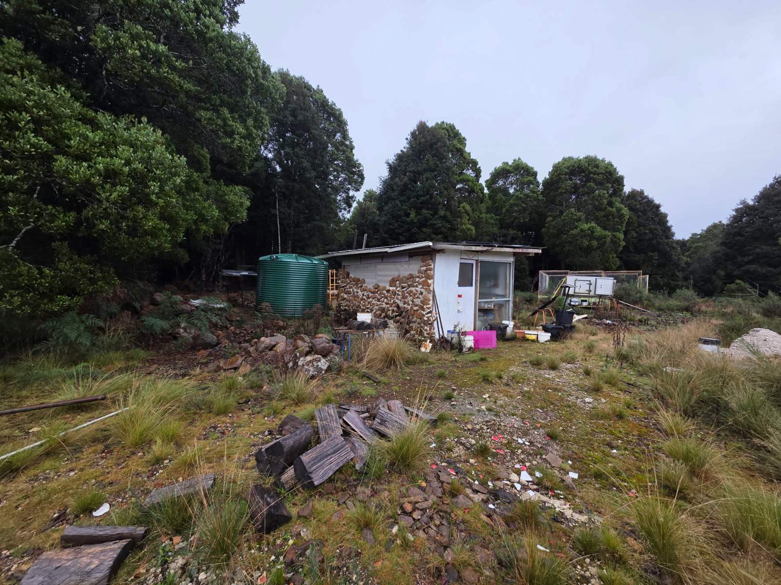 556 Waratah Road, Waratah For Sale by Farmbuy.com - image 6