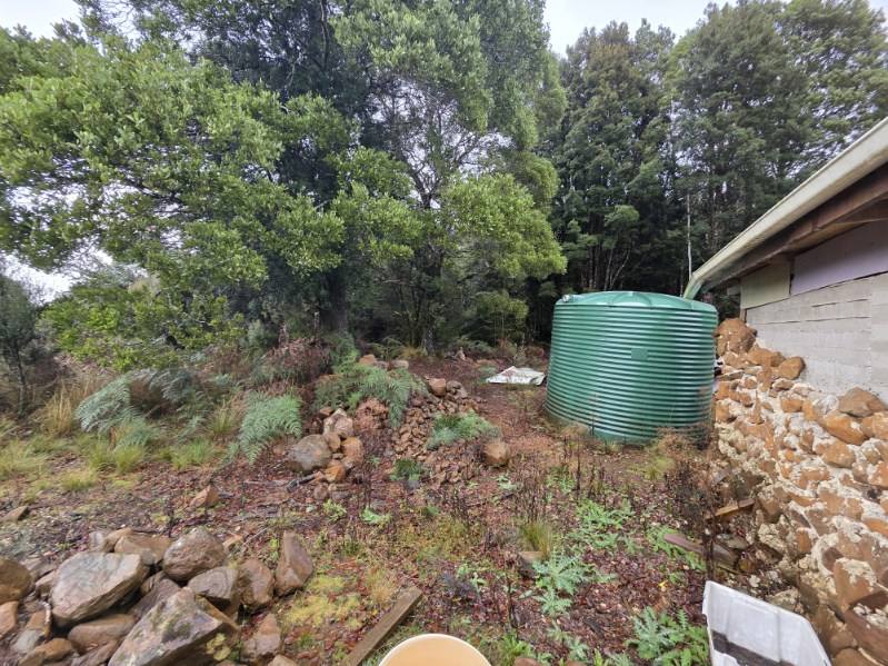 556 Waratah Road, Waratah For Sale by Farmbuy.com - image 5