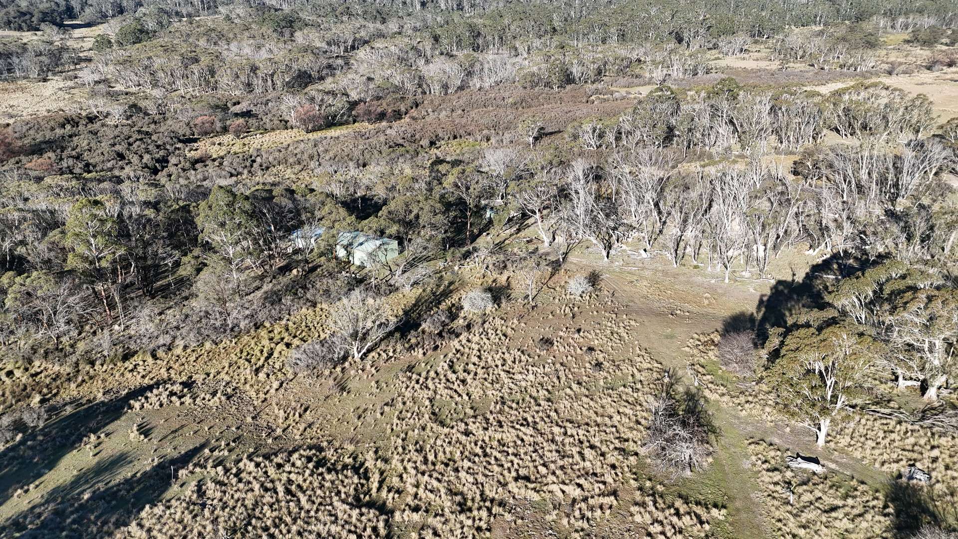 497 Wyanbene Road, Braidwood For Sale by Farmbuy.com - image 18