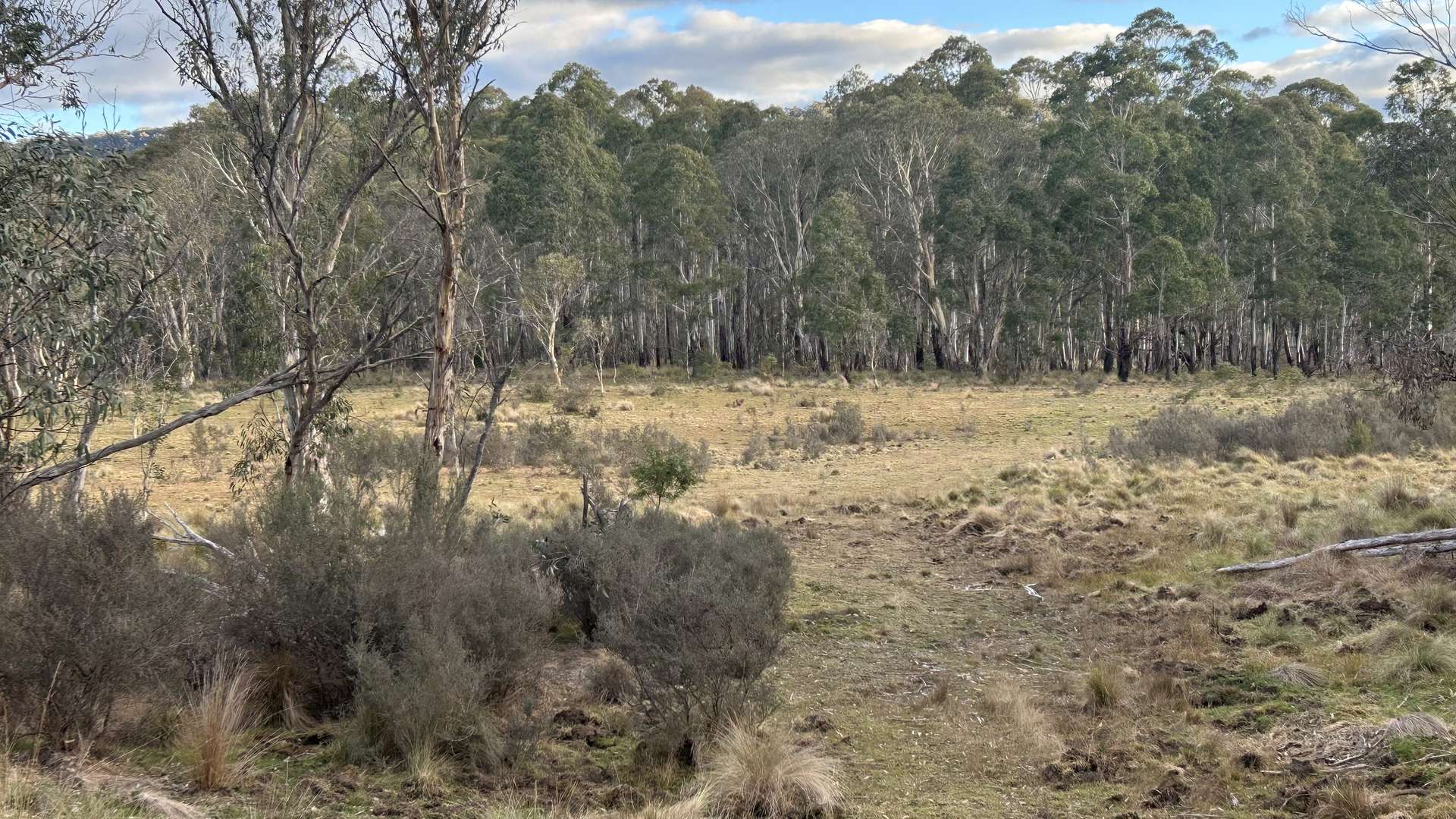497 Wyanbene Road, Braidwood For Sale by Farmbuy.com - image 17