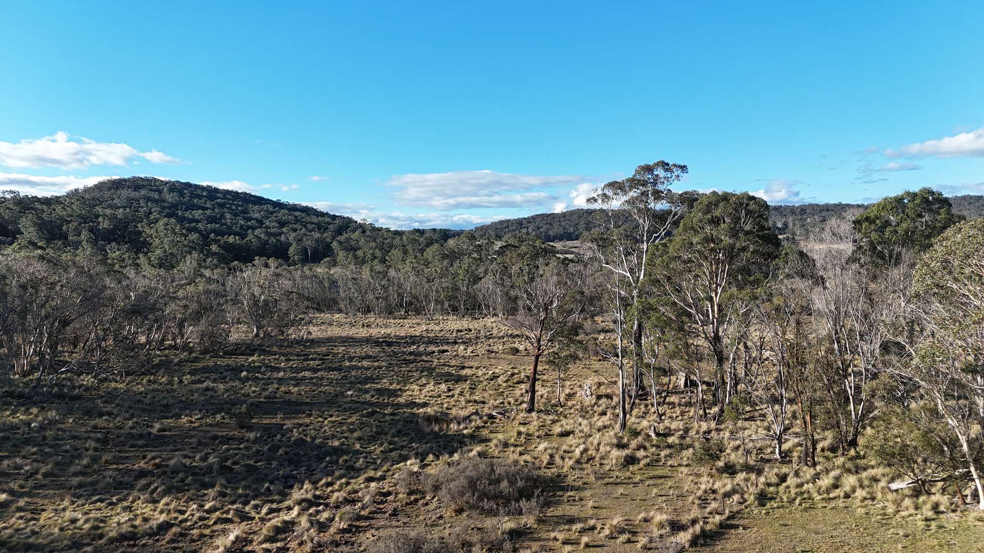 497 Wyanbene Road, Braidwood For Sale by Farmbuy.com - image 19