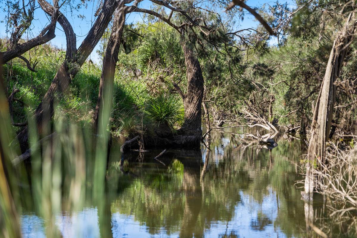 14374 D'Aguillar Highway, Nanango Auction by Farmbuy.com - image 33
