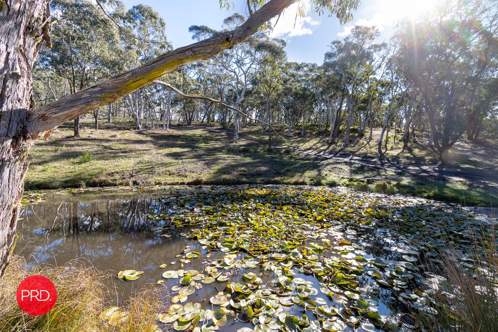201 Sandhills Road, Mount Fairy For Sale by Farmbuy.com - image 30
