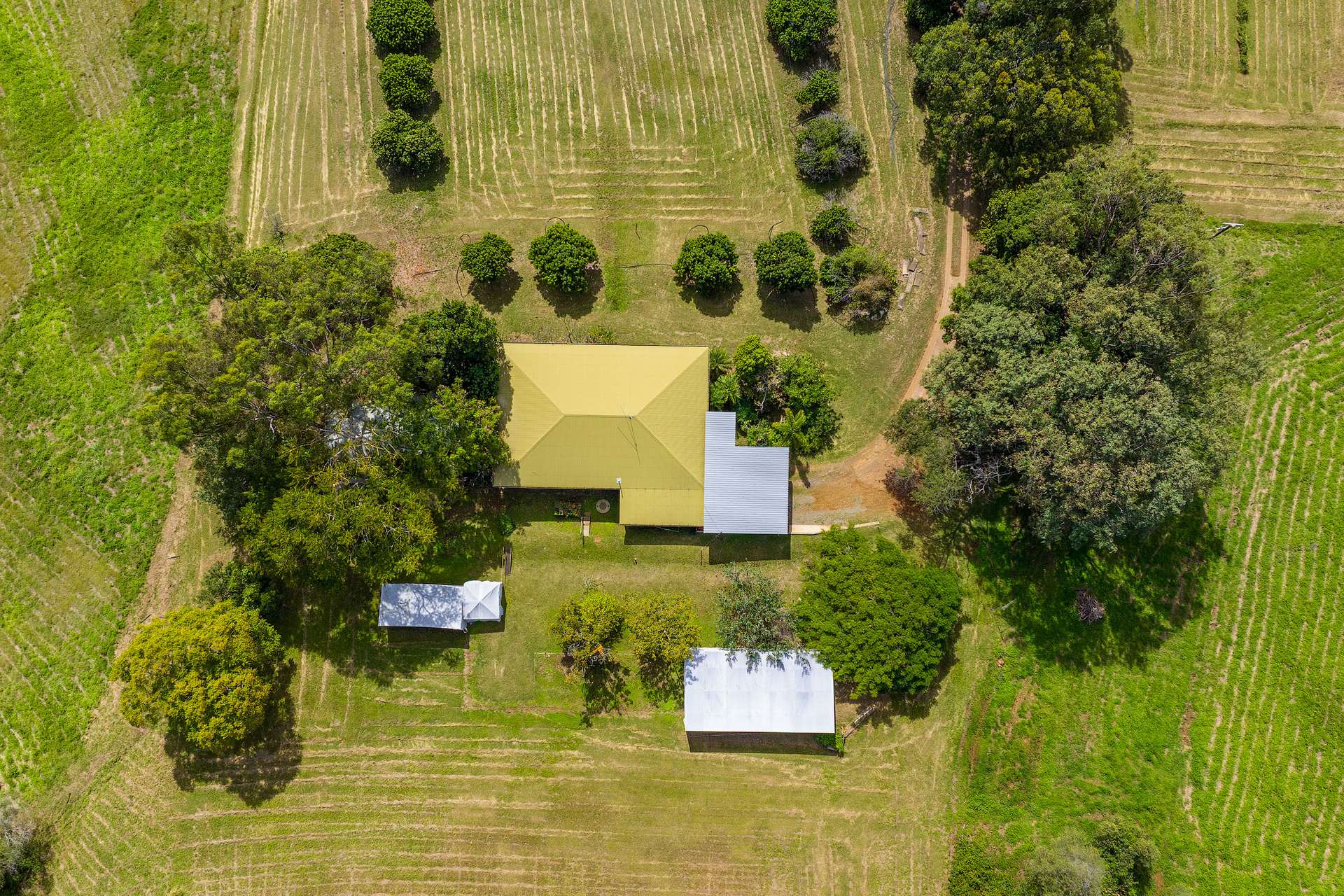 219 Scrubby Creek Road, Scrubby Creek For Sale by Farmbuy.com - image 30