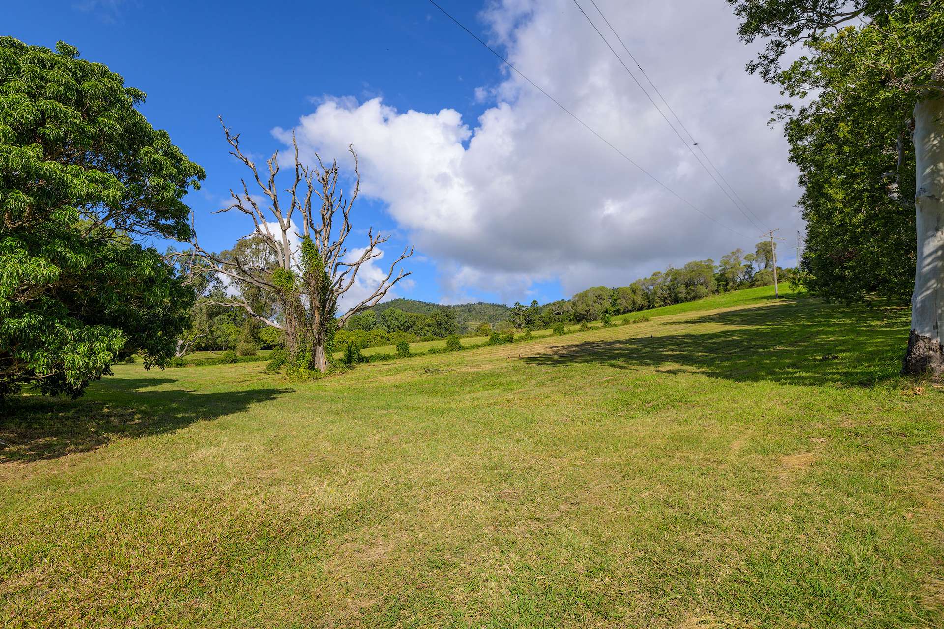 219 Scrubby Creek Road, Scrubby Creek For Sale by Farmbuy.com - image 20