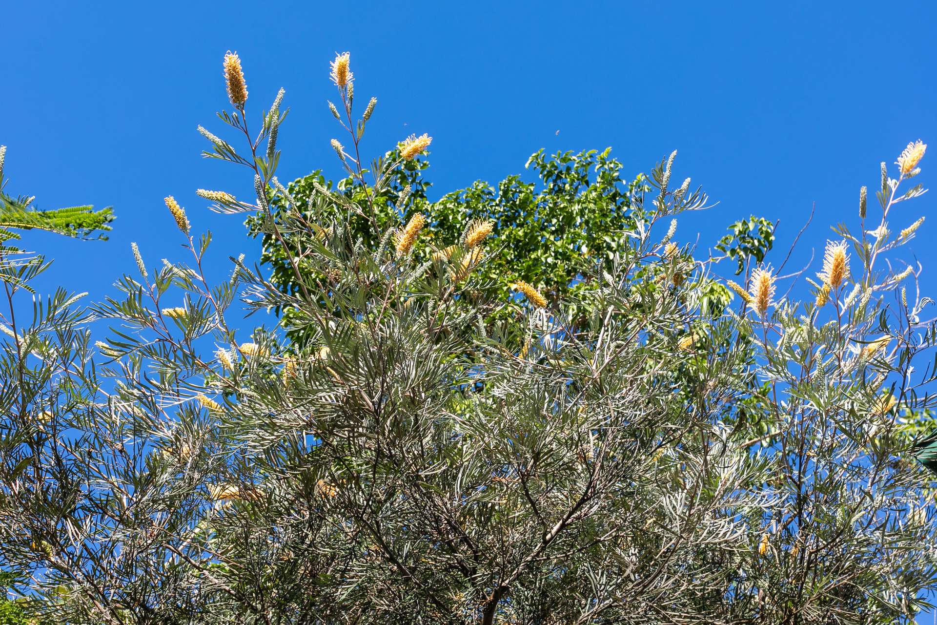 7 Gibson Road, Mooloo For Sale by Farmbuy.com - image 31