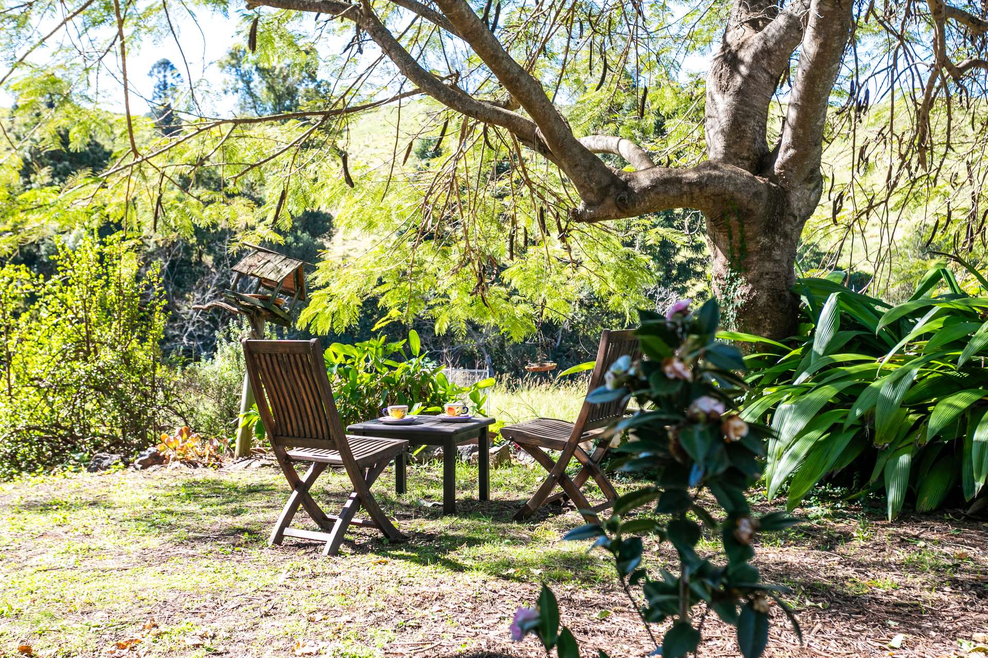 7 Gibson Road, Mooloo For Sale by Farmbuy.com - image 21