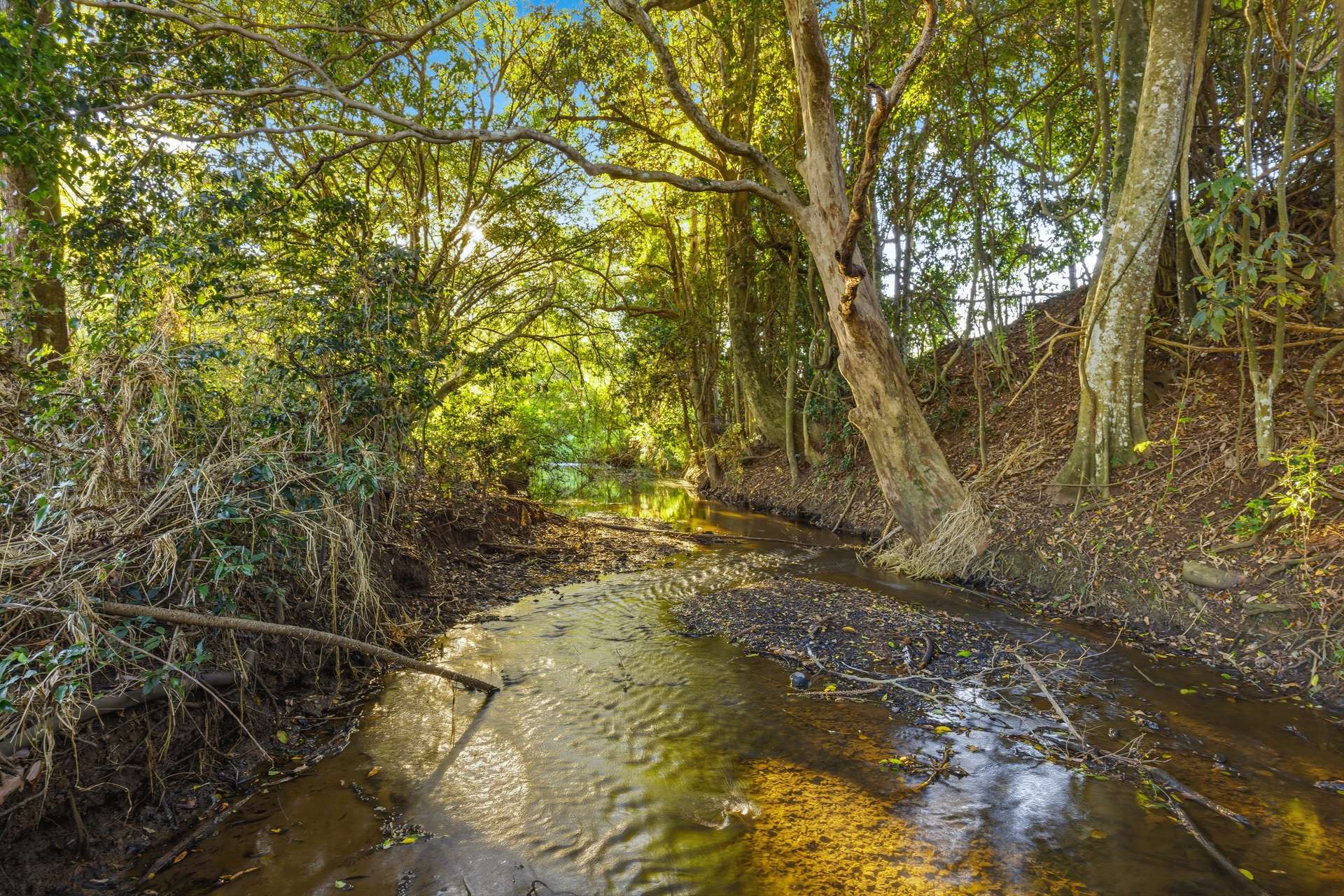 7 Gibson Road, Mooloo For Sale by Farmbuy.com - image 27