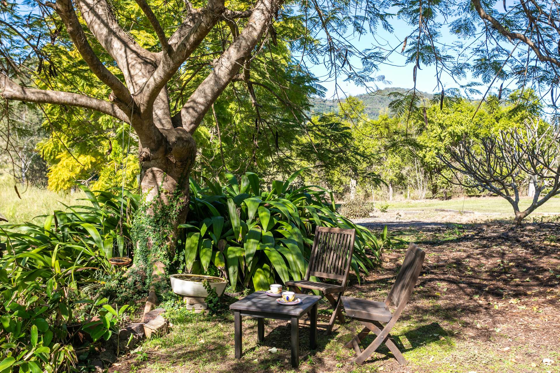 7 Gibson Road, Mooloo For Sale by Farmbuy.com - image 29
