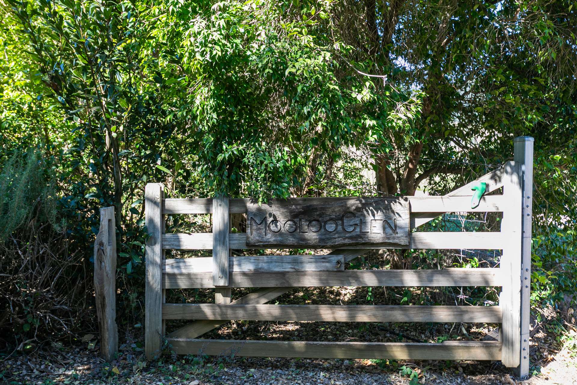 7 Gibson Road, Mooloo For Sale by Farmbuy.com - image 4