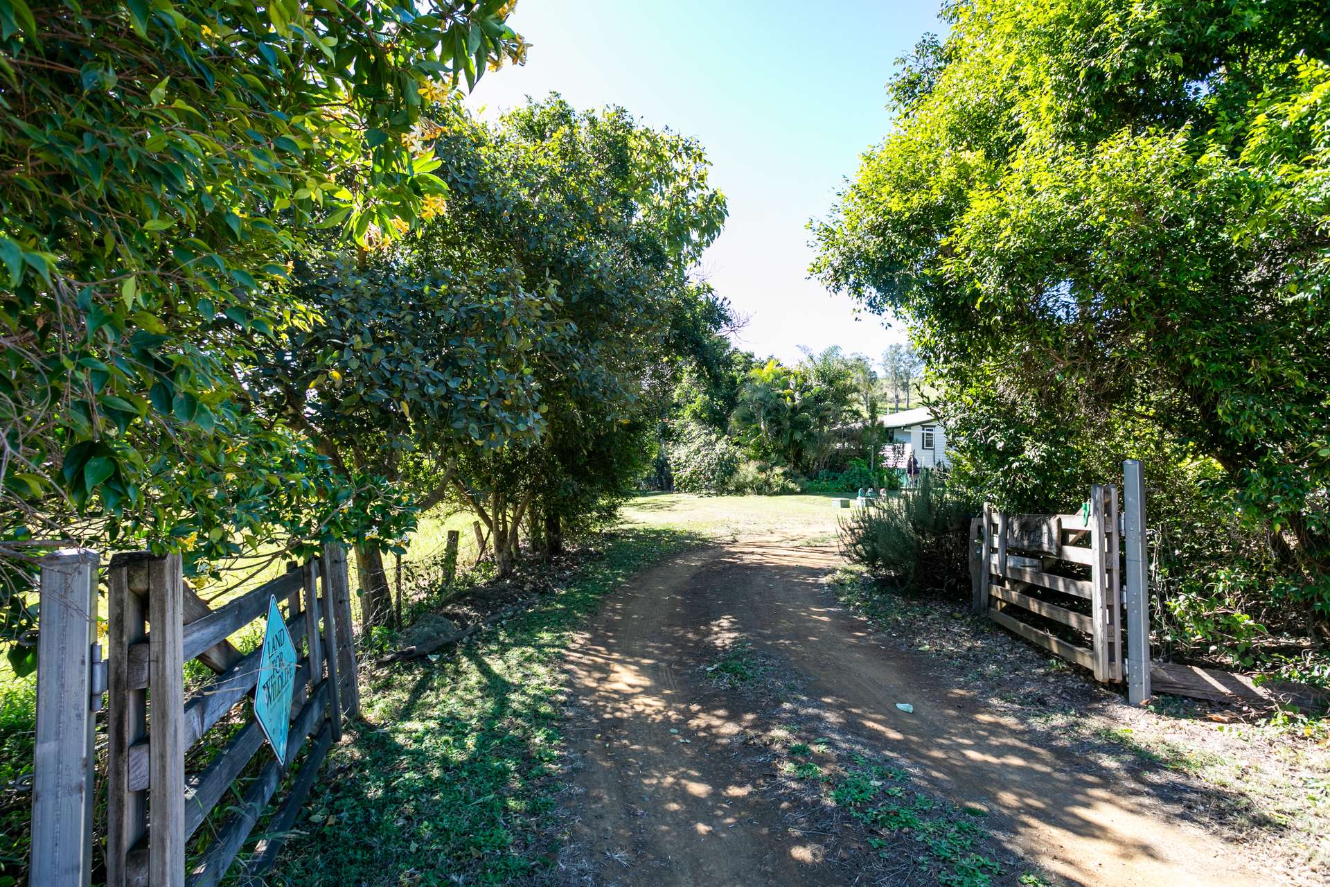 7 Gibson Road, Mooloo For Sale by Farmbuy.com - image 5