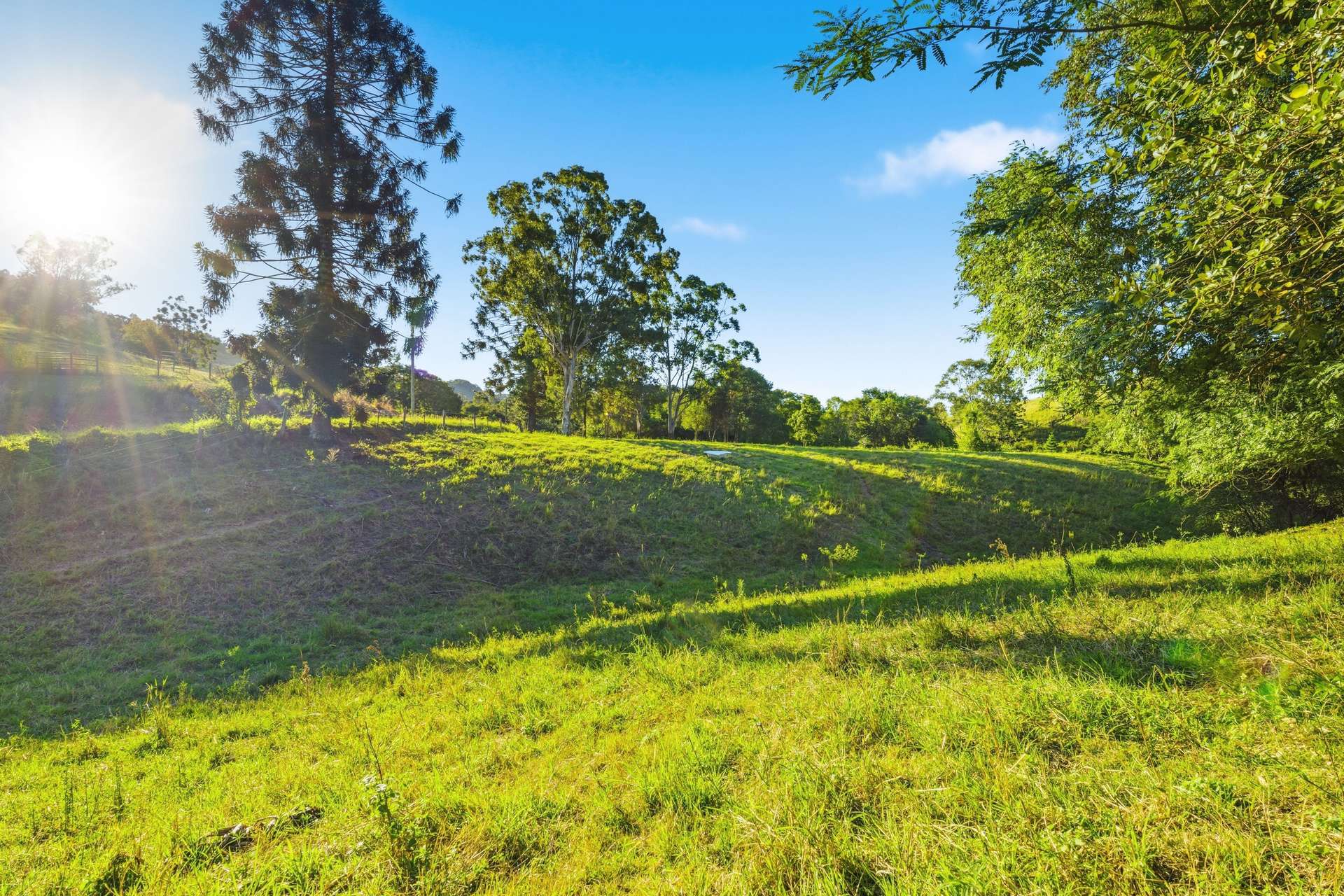 7 Gibson Road, Mooloo For Sale by Farmbuy.com - image 26
